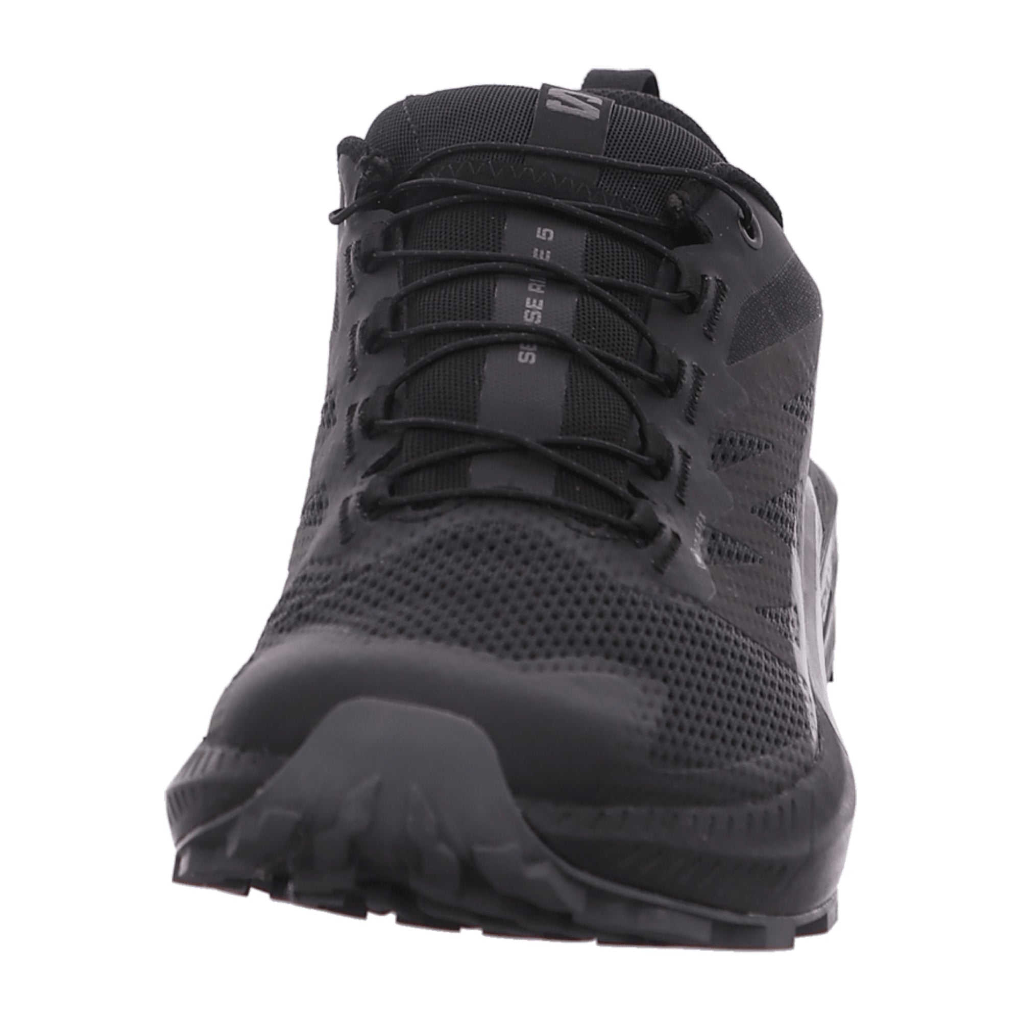 Salomon Sense Ride 5 GTX for men, black, shoes