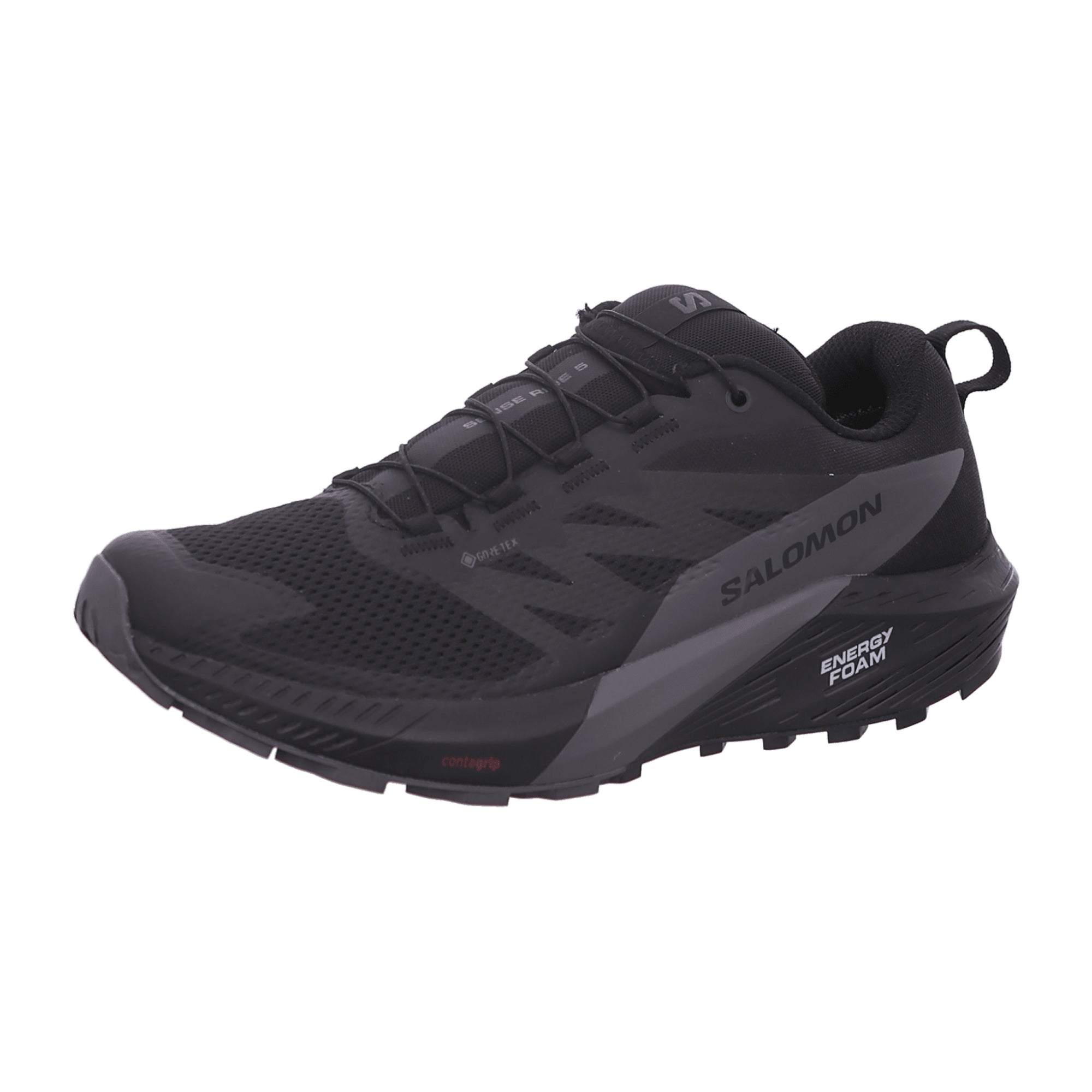 Salomon Sense Ride 5 GTX for men, black, shoes