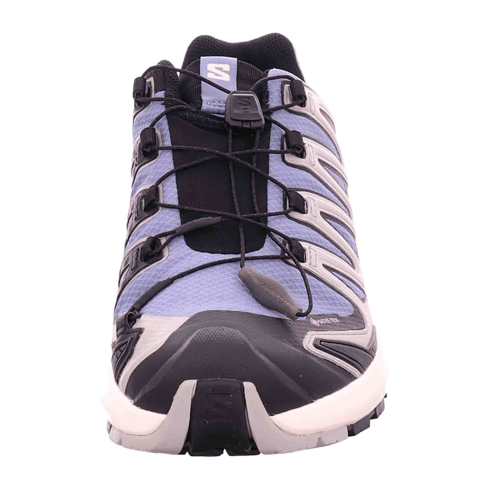 Salomon v9 GTX for men, gray, shoes