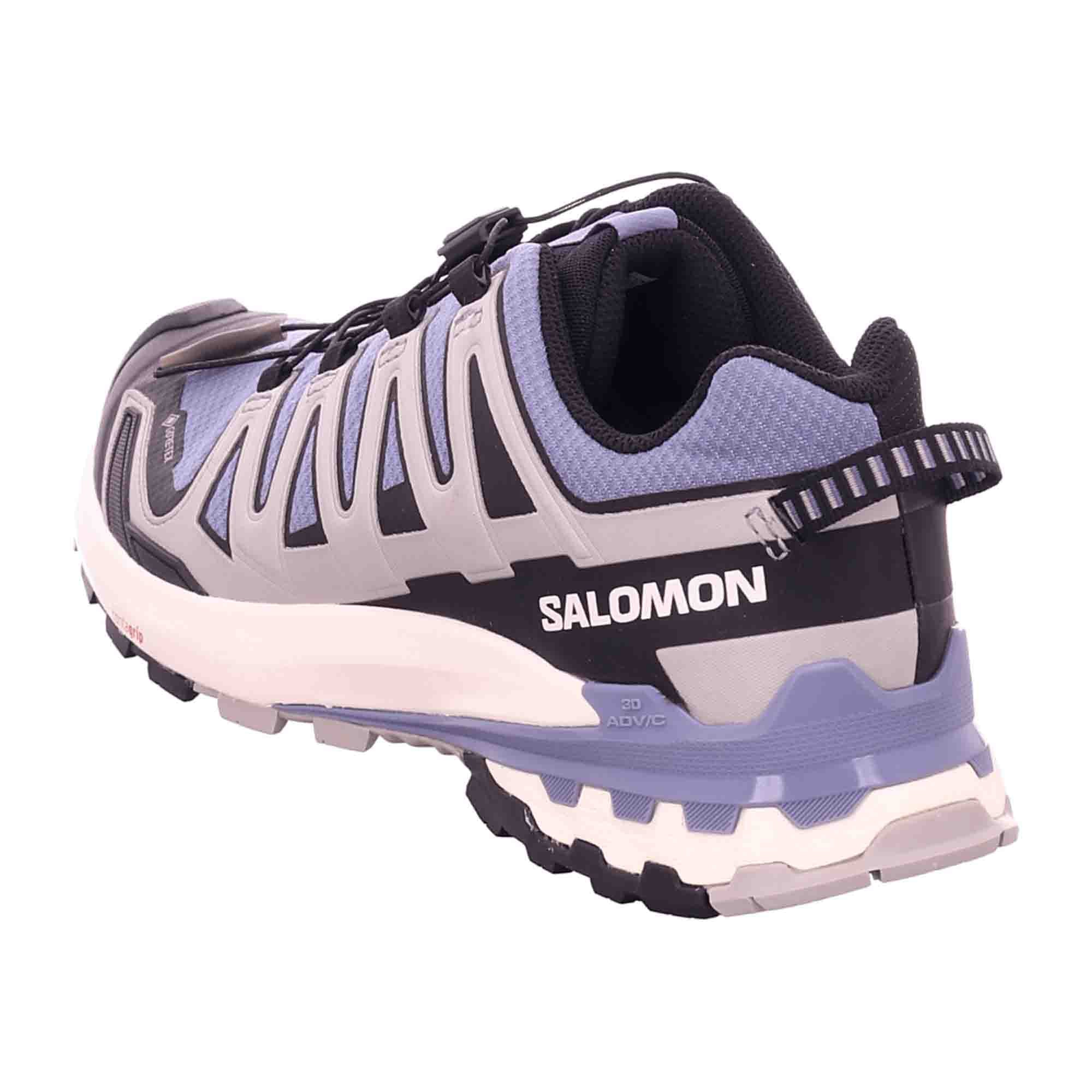 Salomon v9 GTX for men, gray, shoes - Bartel-Shop