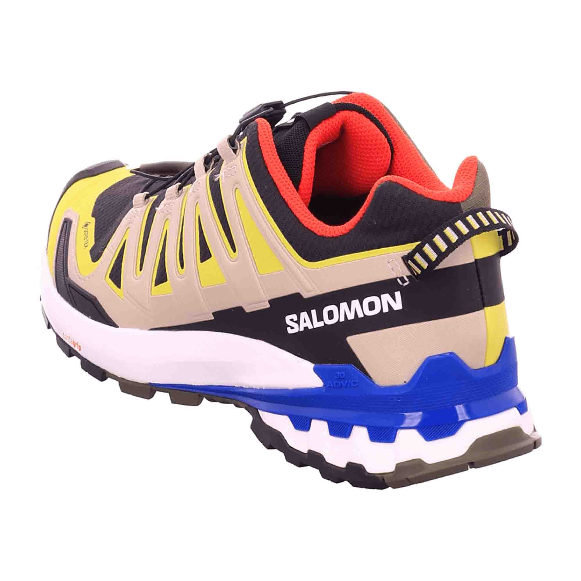 Salomon v9 GTX for men, colorful, shoes
