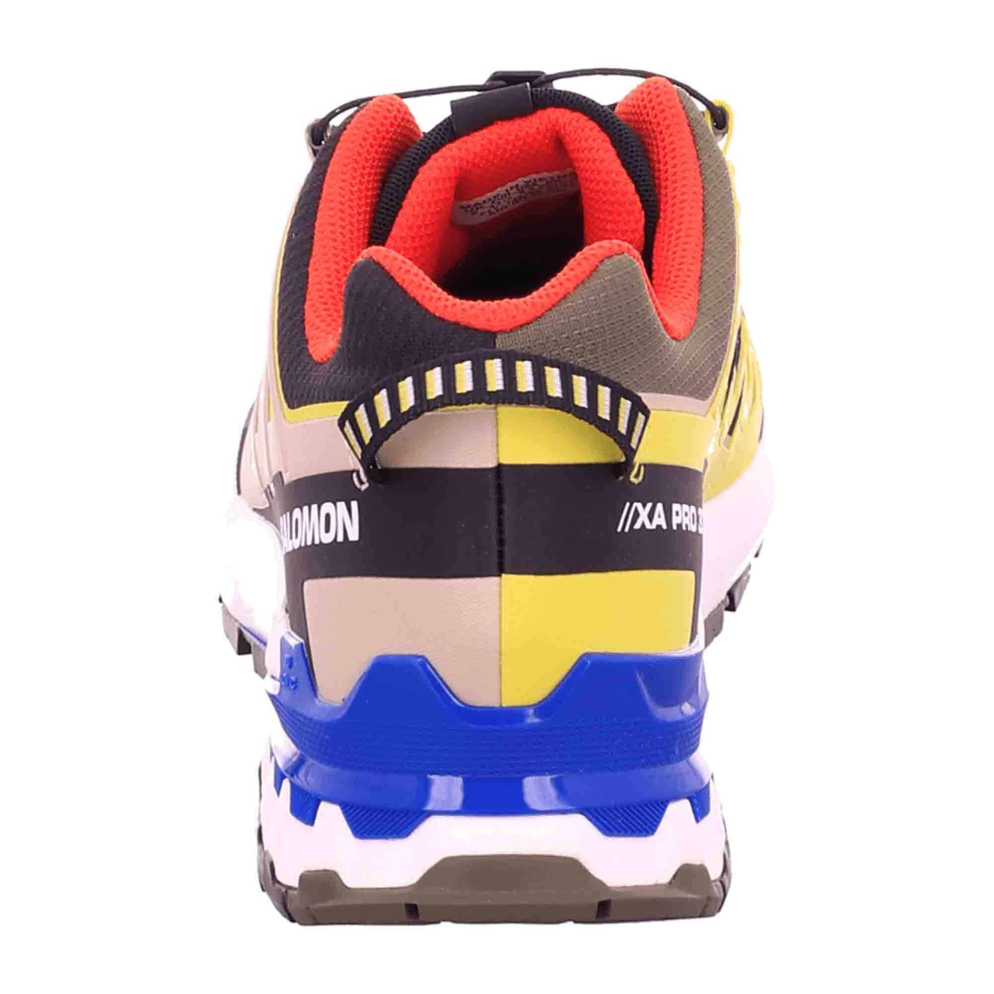 Salomon v9 GTX for men, colorful, shoes