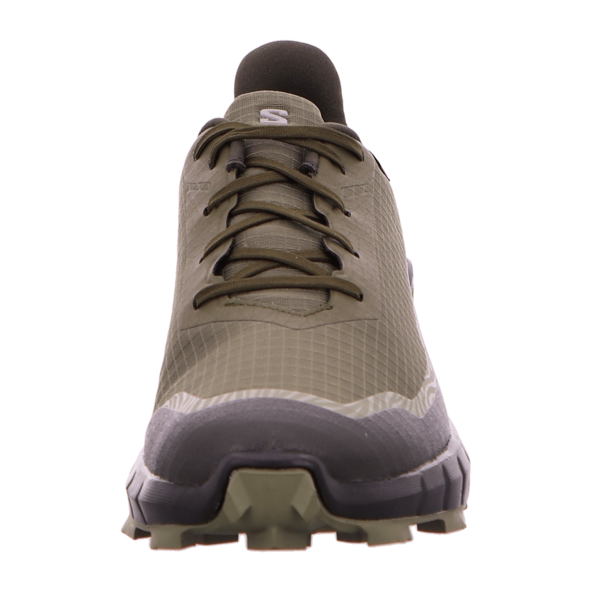 Salomon ALPHACROSS 5 GTX for men, gray, shoes