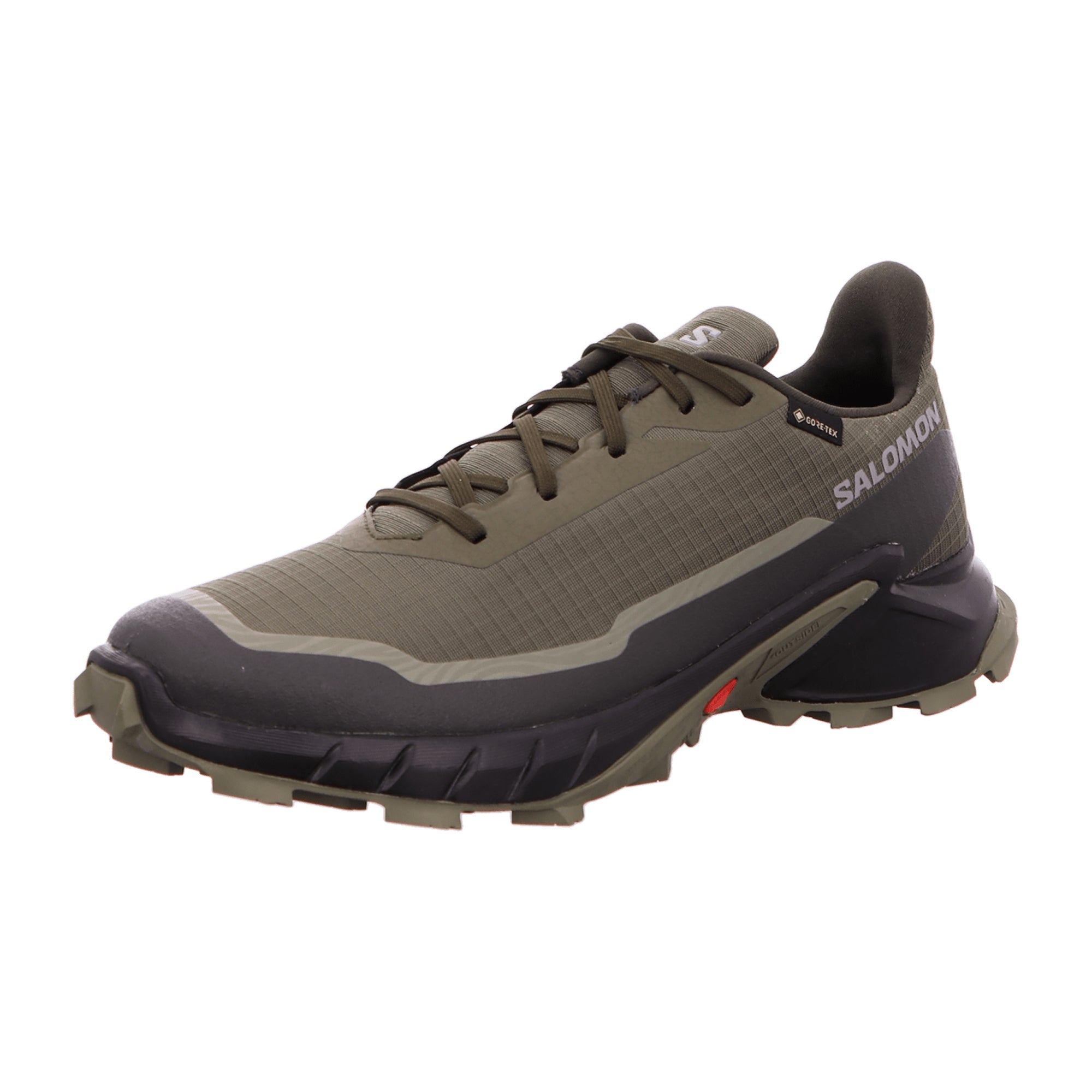 Salomon ALPHACROSS 5 GTX for men, gray, shoes