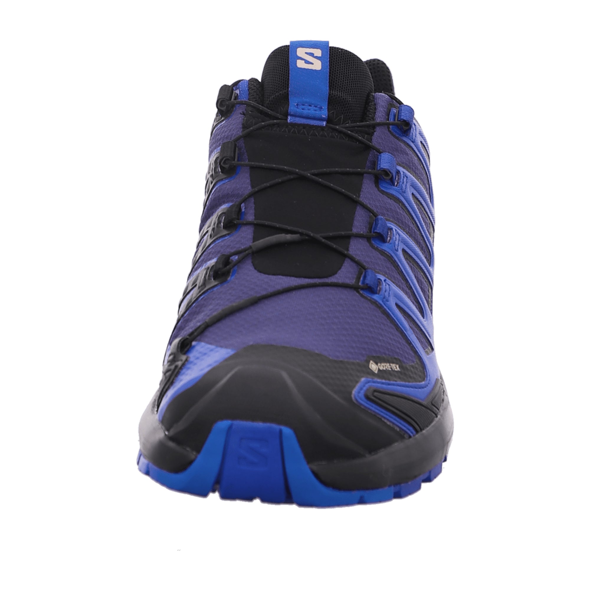 Salomon XA Pro 3 DV 9 GTX for men, blue, shoes