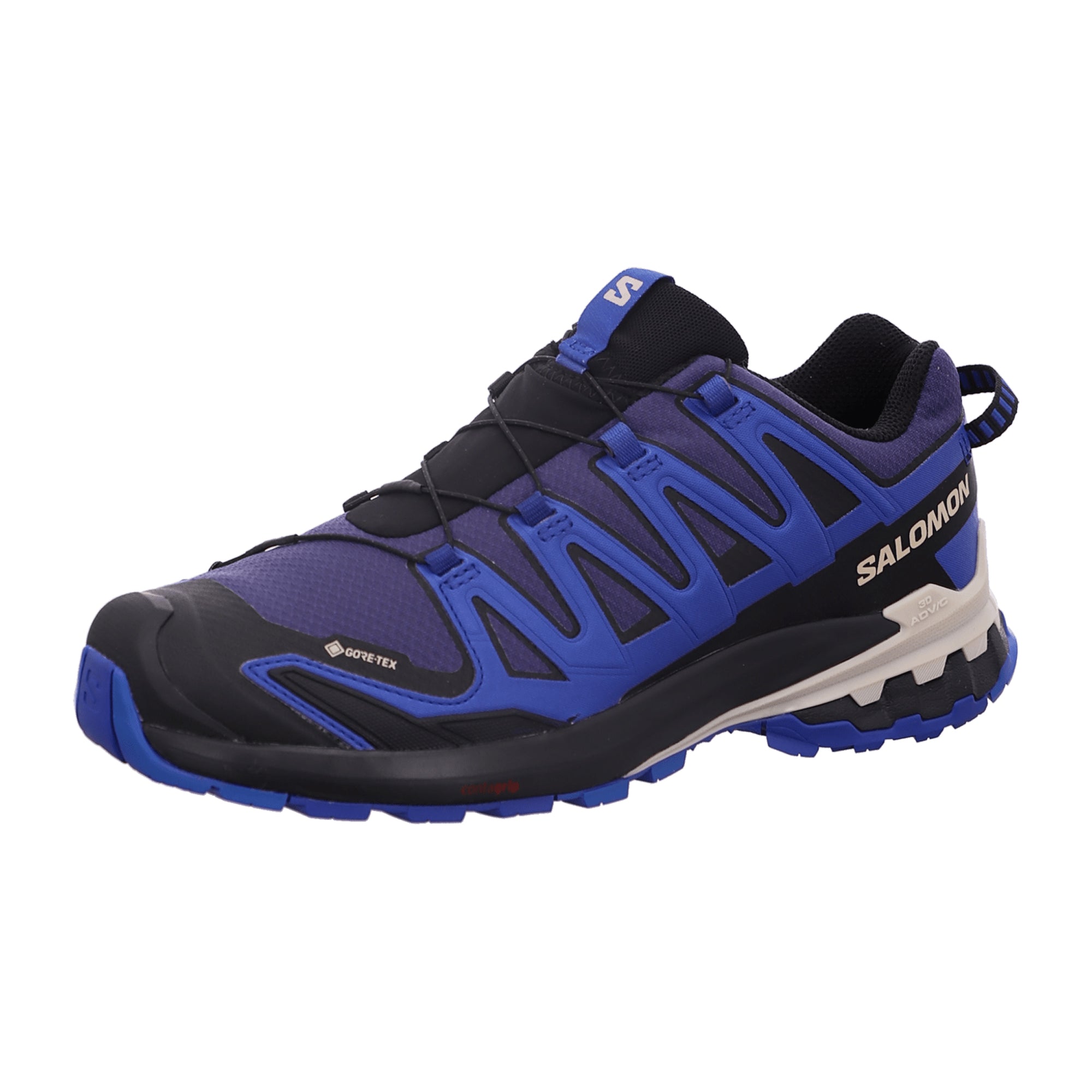 Salomon XA Pro 3 DV 9 GTX for men, blue, shoes