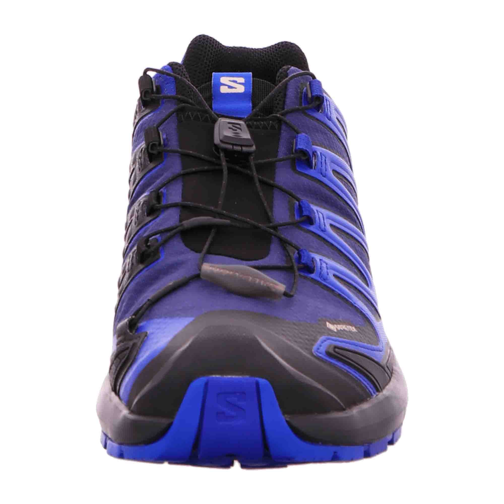 Salomon XA PRO 3D V9 GTX for men, blue, shoes