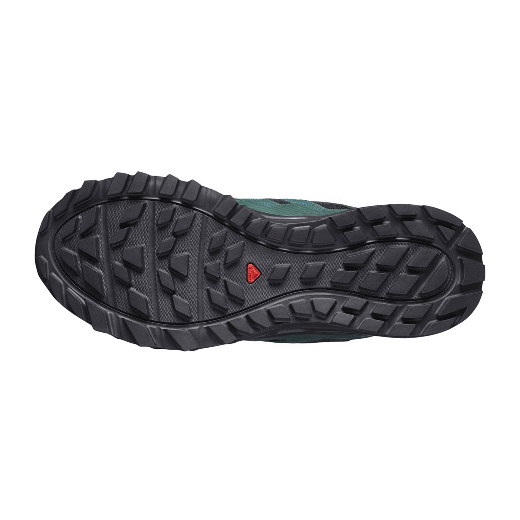 Salomon WANDER GTX for men, black, shoes