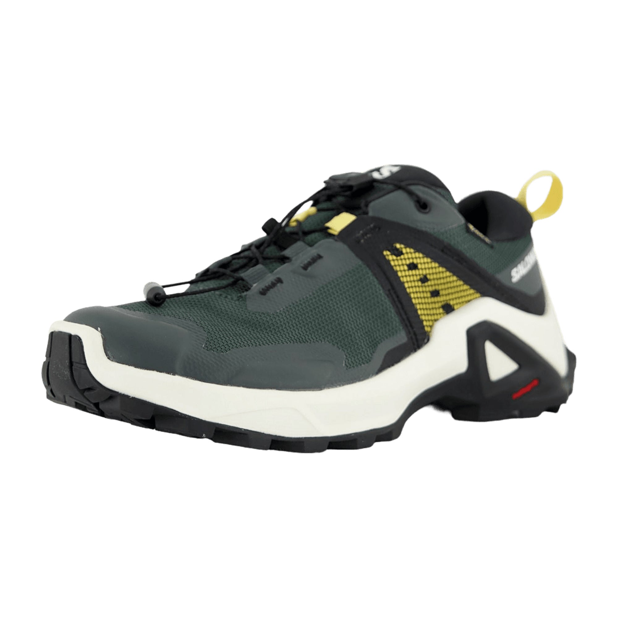 Salomon X RAISE GTX J for kids, green, shoes