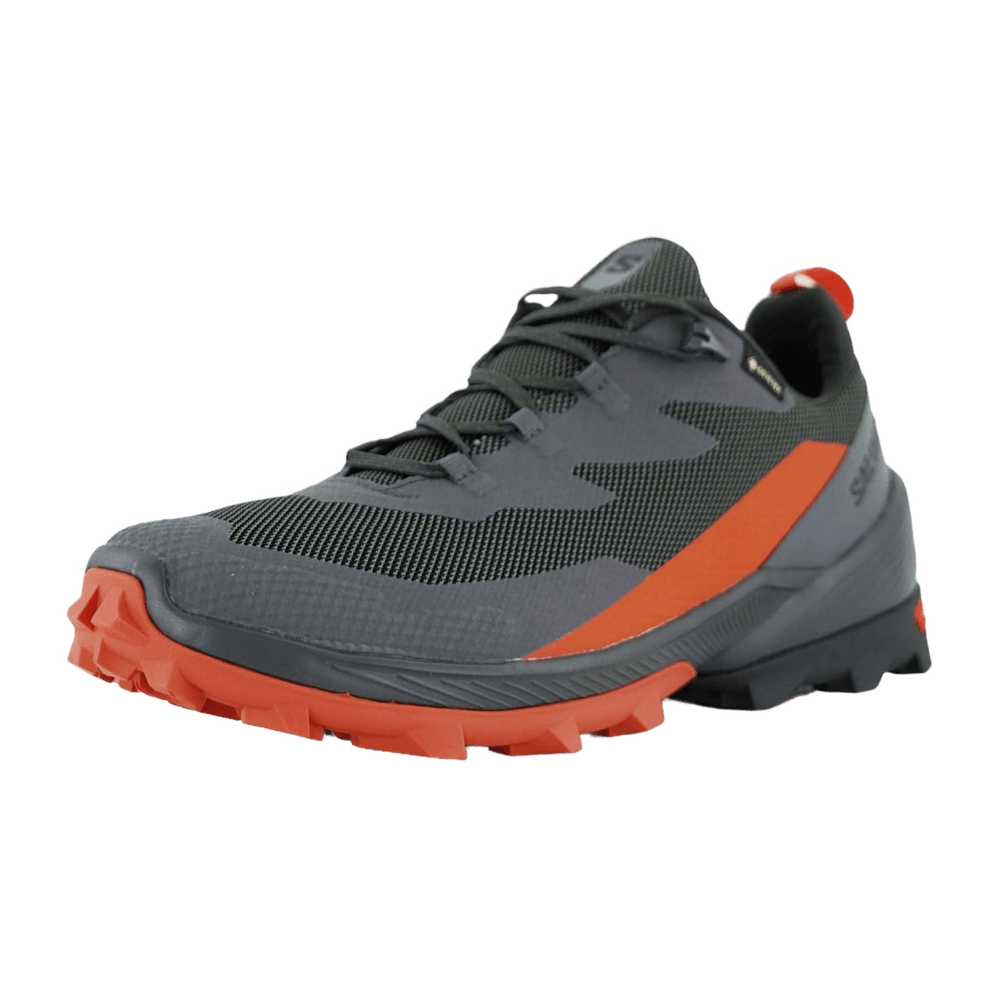Salomon CROSS OVER 2 GTX for men, gray, shoes