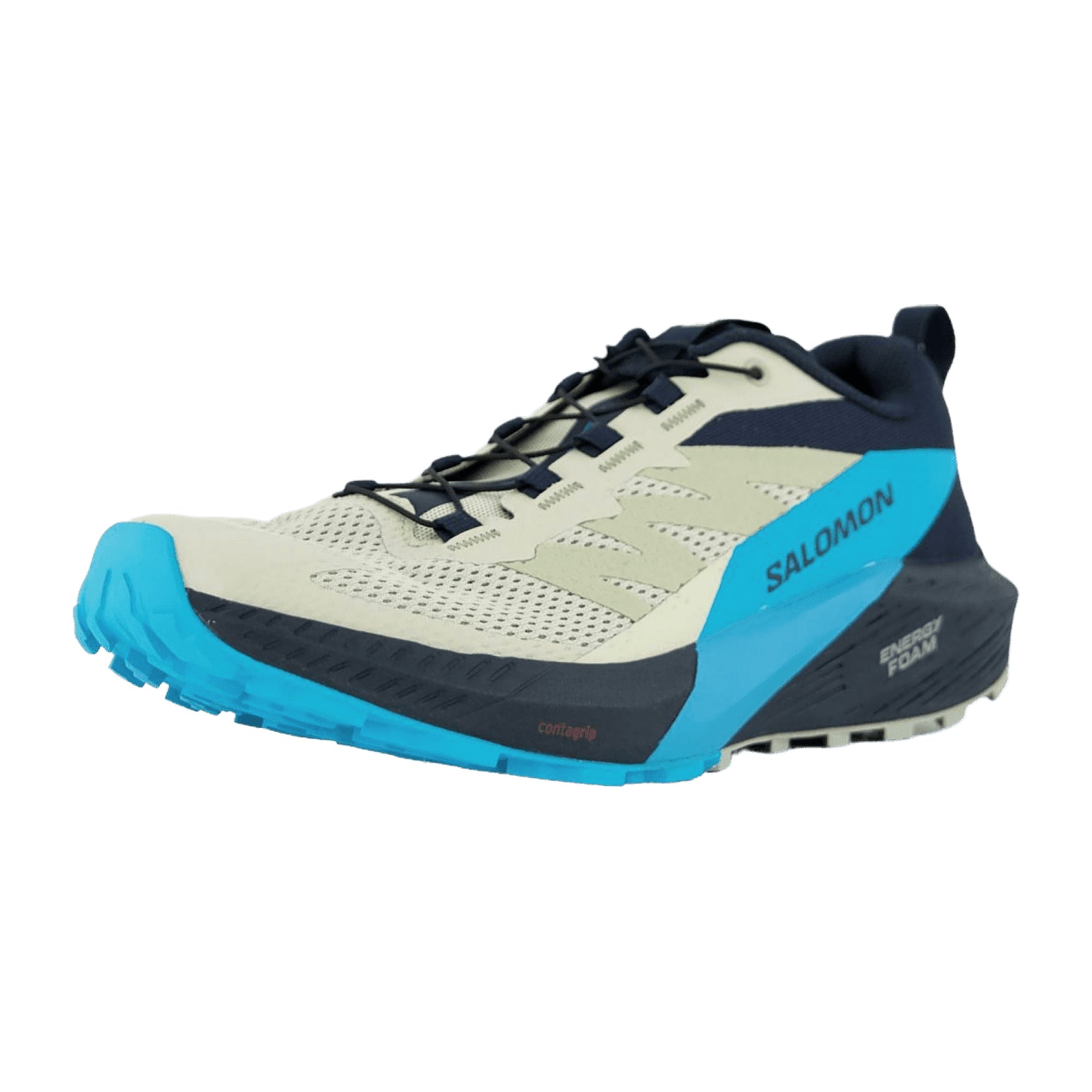 Salomon SENSE RIDE 5 for men, beige, shoes