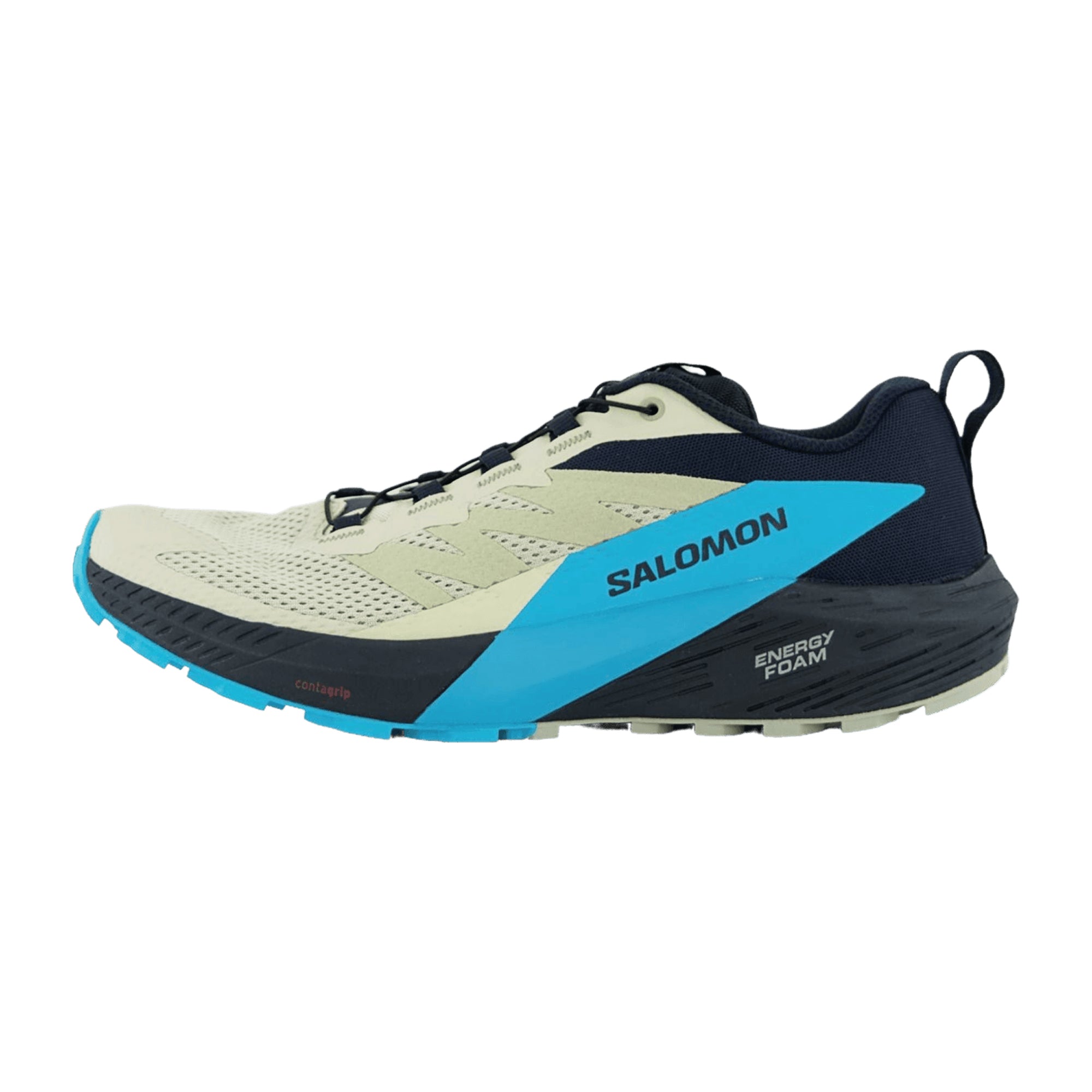 Salomon SENSE RIDE 5 for men, beige, shoes