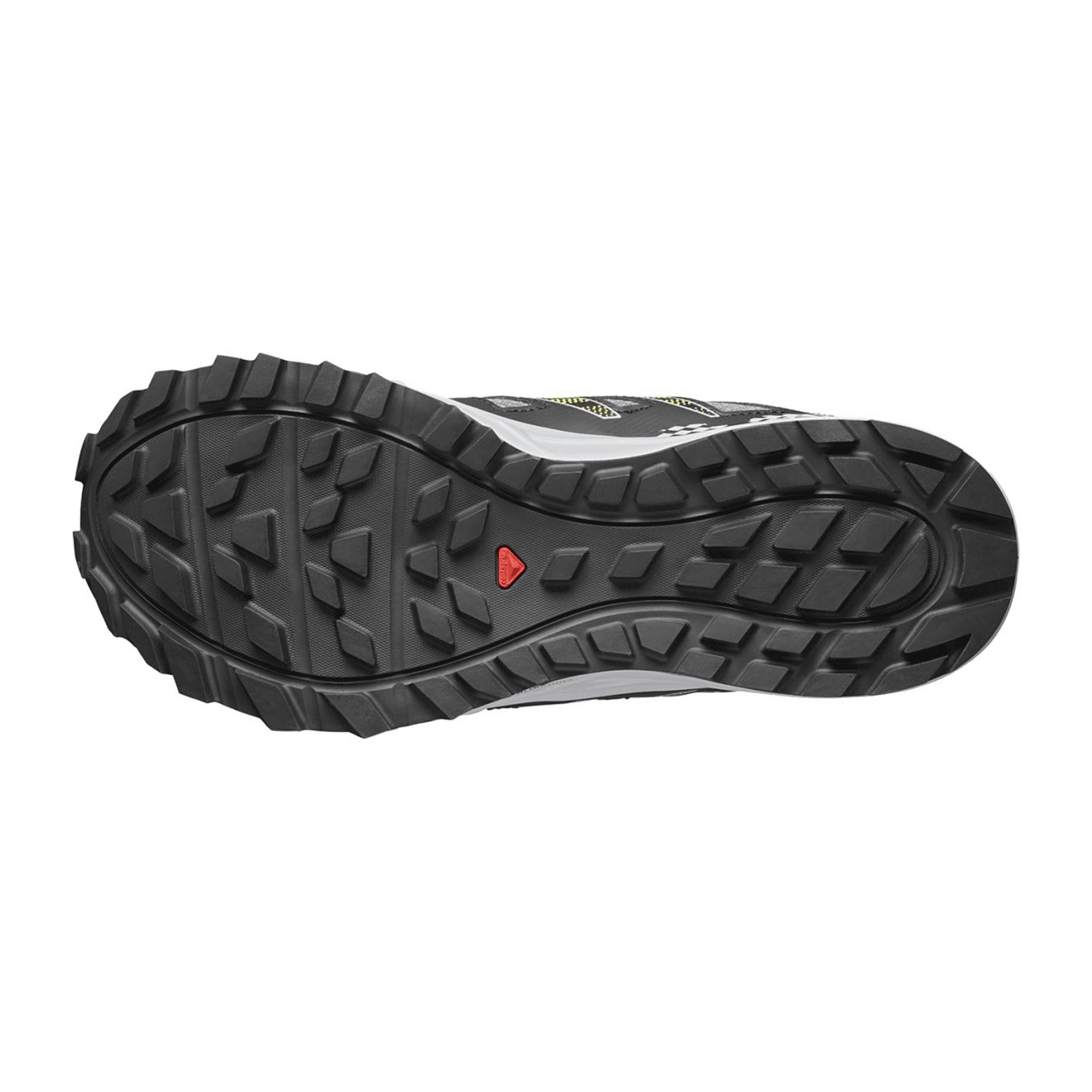 Salomon WANDER GTX for men, gray, shoes