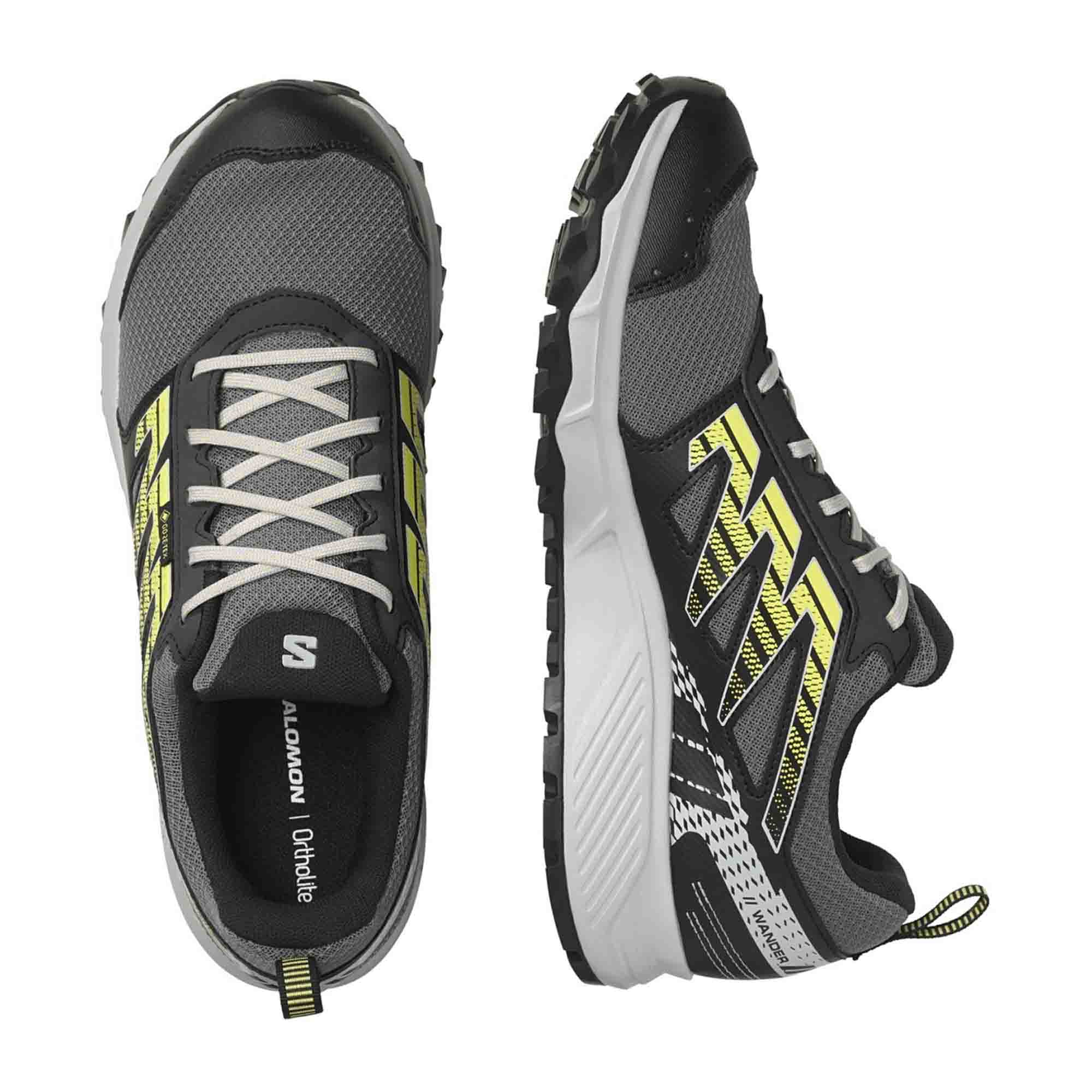 Salomon WANDER GTX for men, gray, shoes