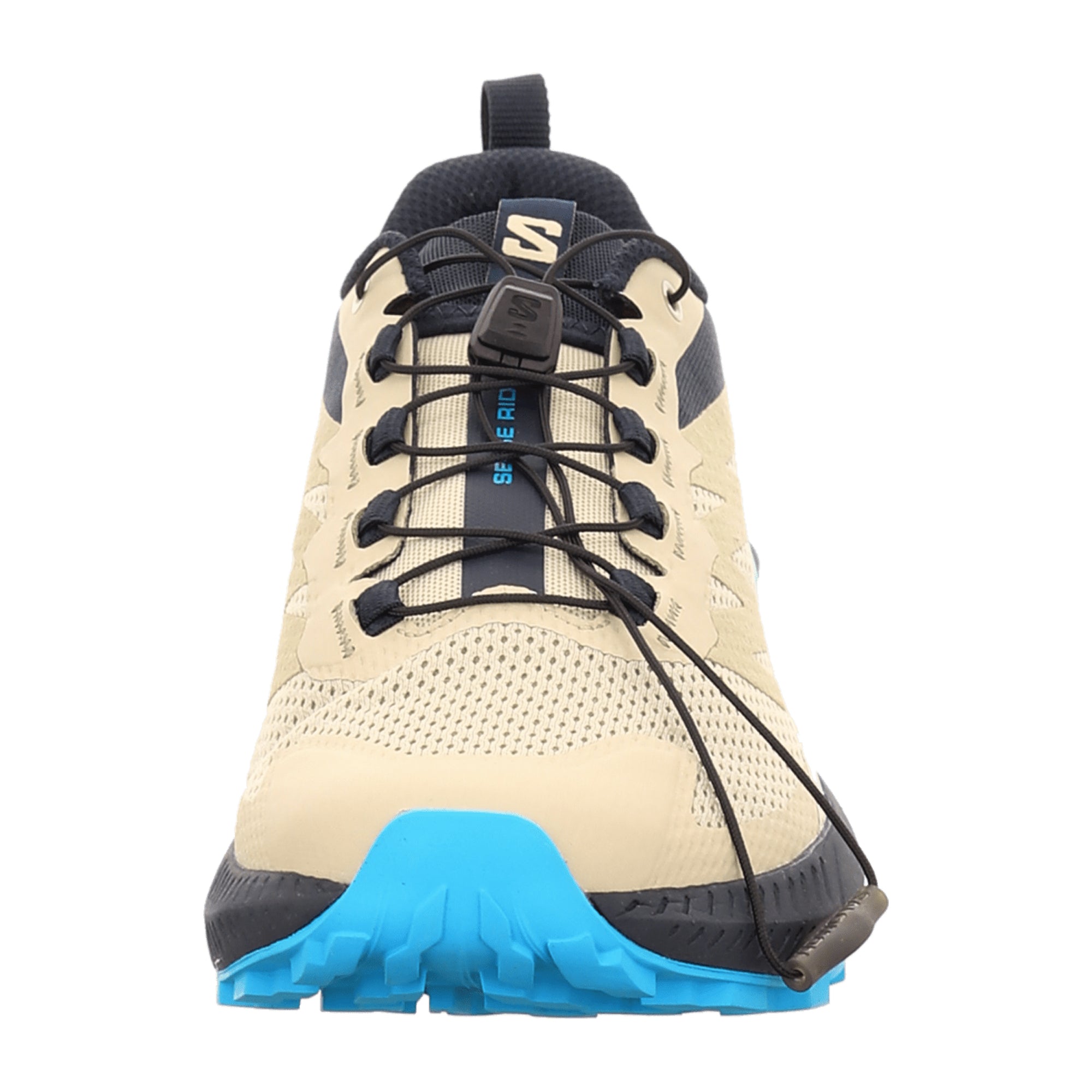 Salomon Sense Ride 5 for men, beige, shoes