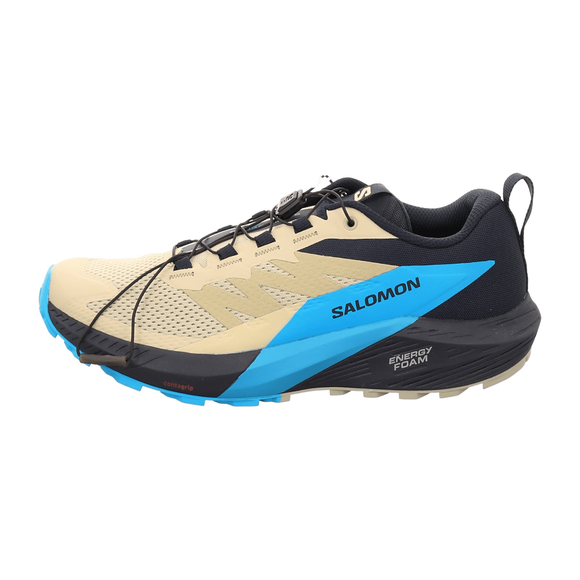 Salomon Sense Ride 5 for men, beige, shoes
