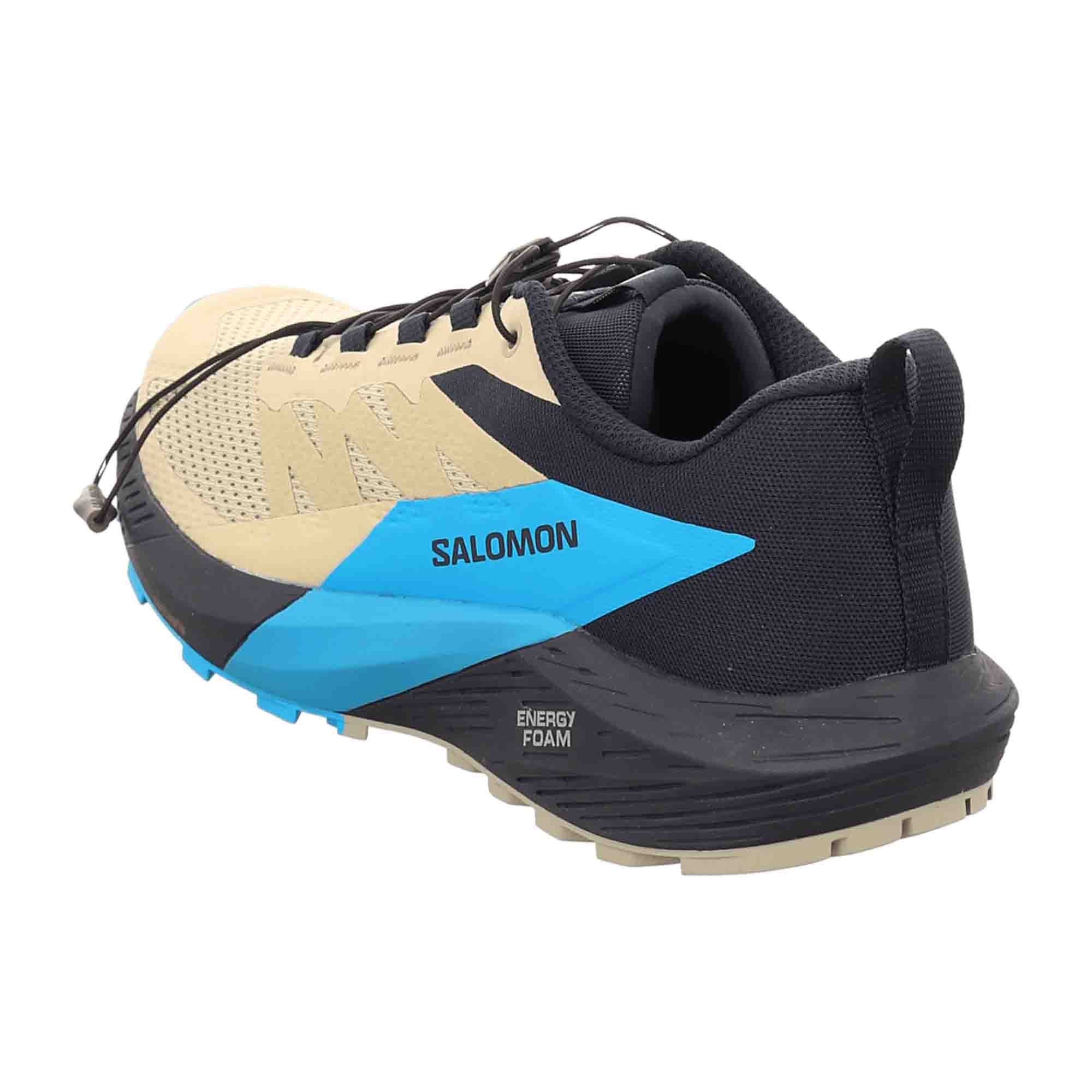Salomon Sense Ride 5 for men, beige, shoes