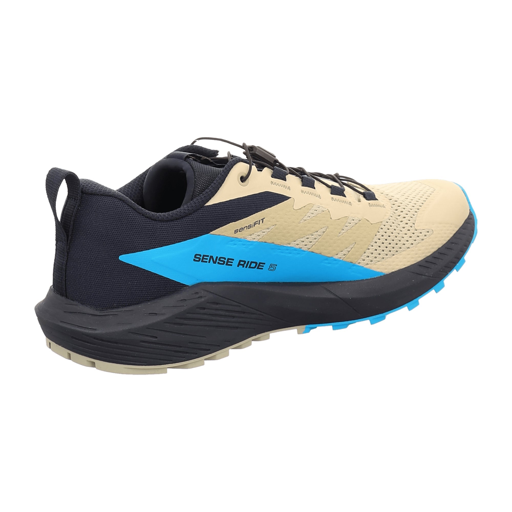 Salomon Sense Ride 5 for men, beige, shoes