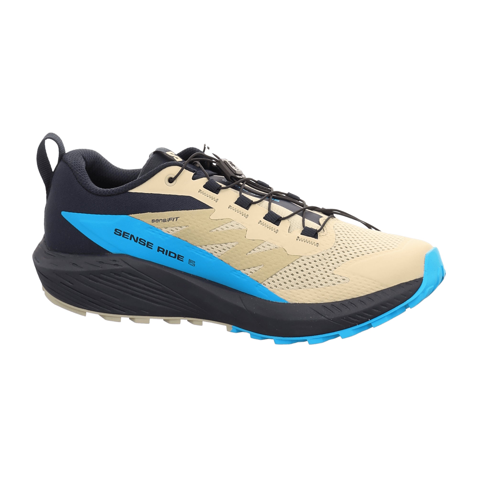 Salomon Sense Ride 5 for men, beige, shoes