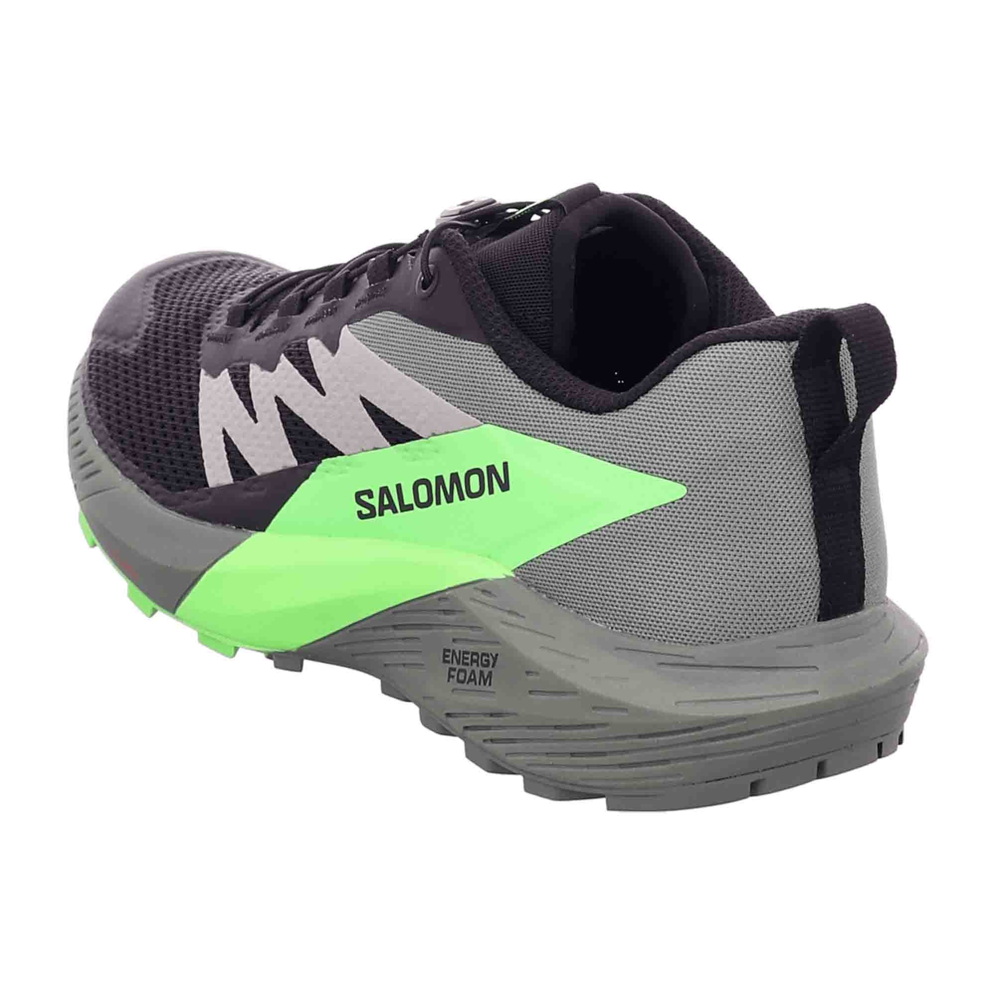 Salomon Sense Ride 5 for men, gray, shoes