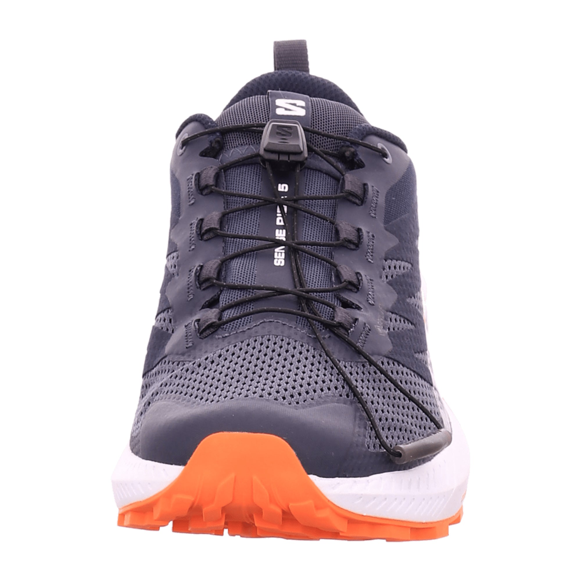 Salomon shoes SENSE RIDE 5 GTX Indik for men, blue
