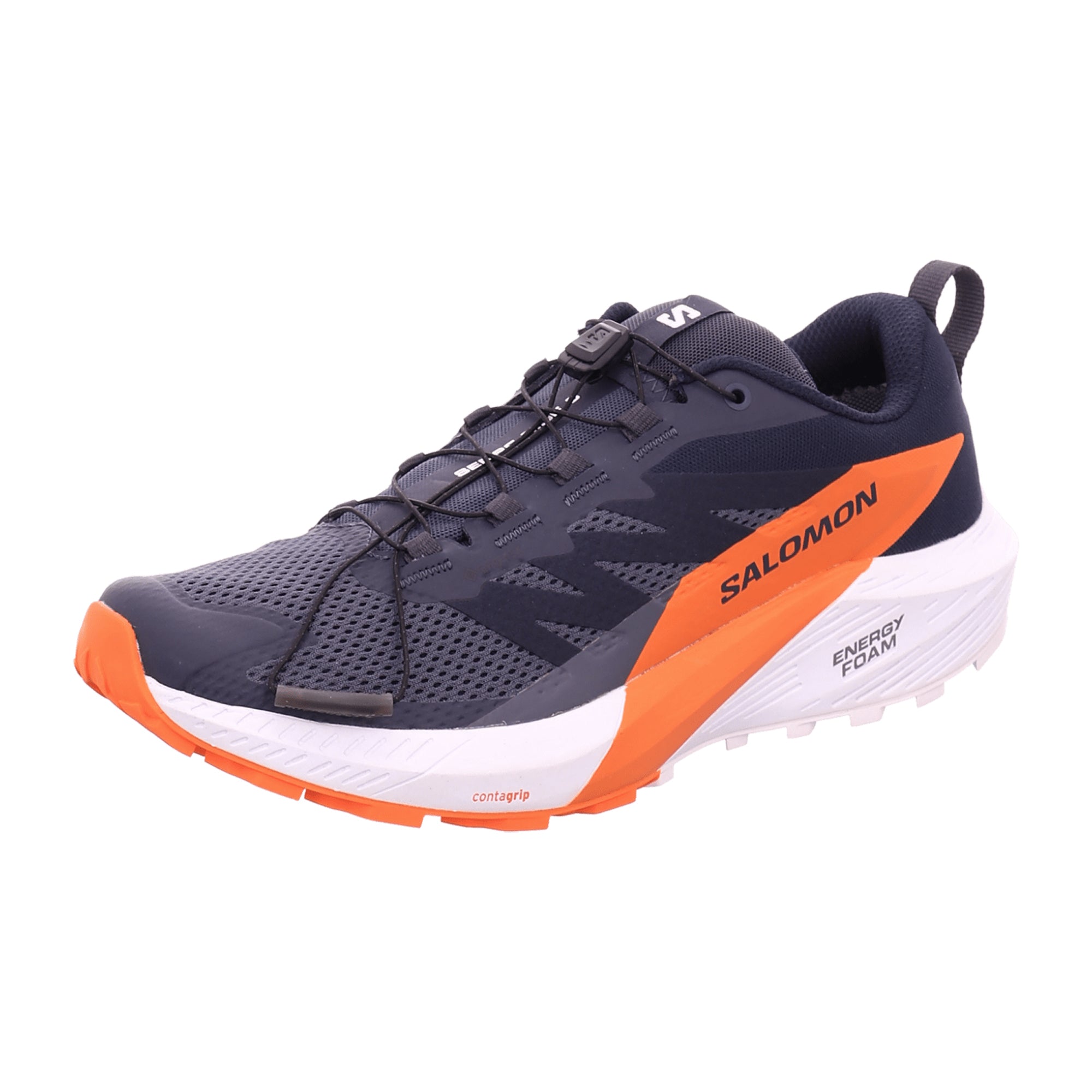 Salomon shoes SENSE RIDE 5 GTX Indik for men, blue