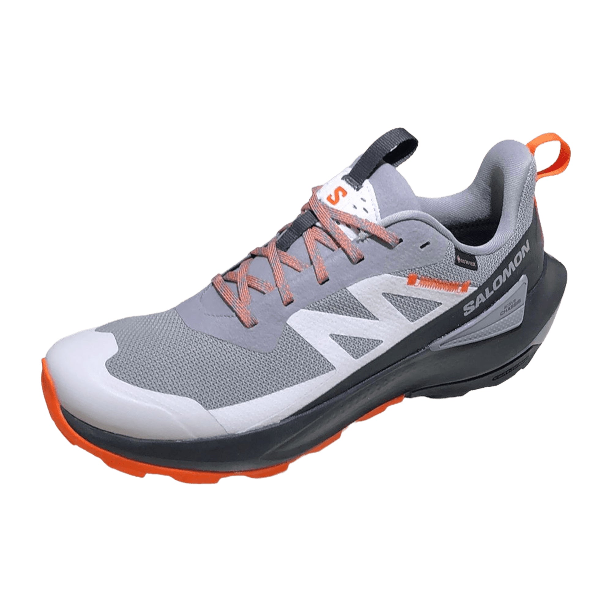 Salomon Elixir Activ GTX for men, gray, shoes
