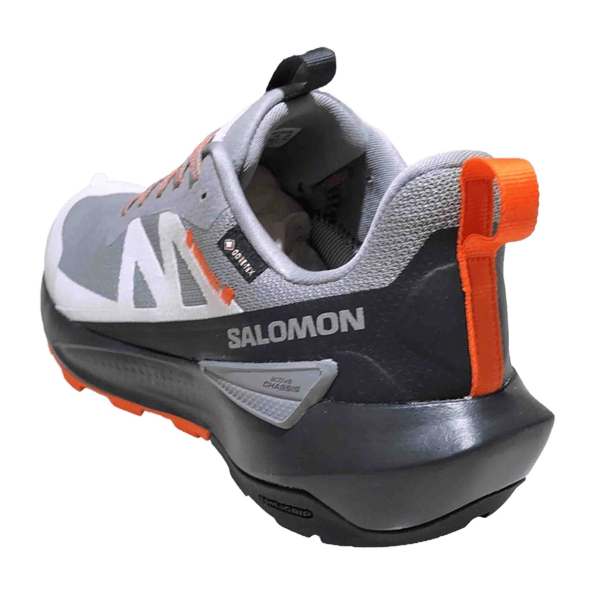 Salomon Elixir Activ GTX for men, gray, shoes