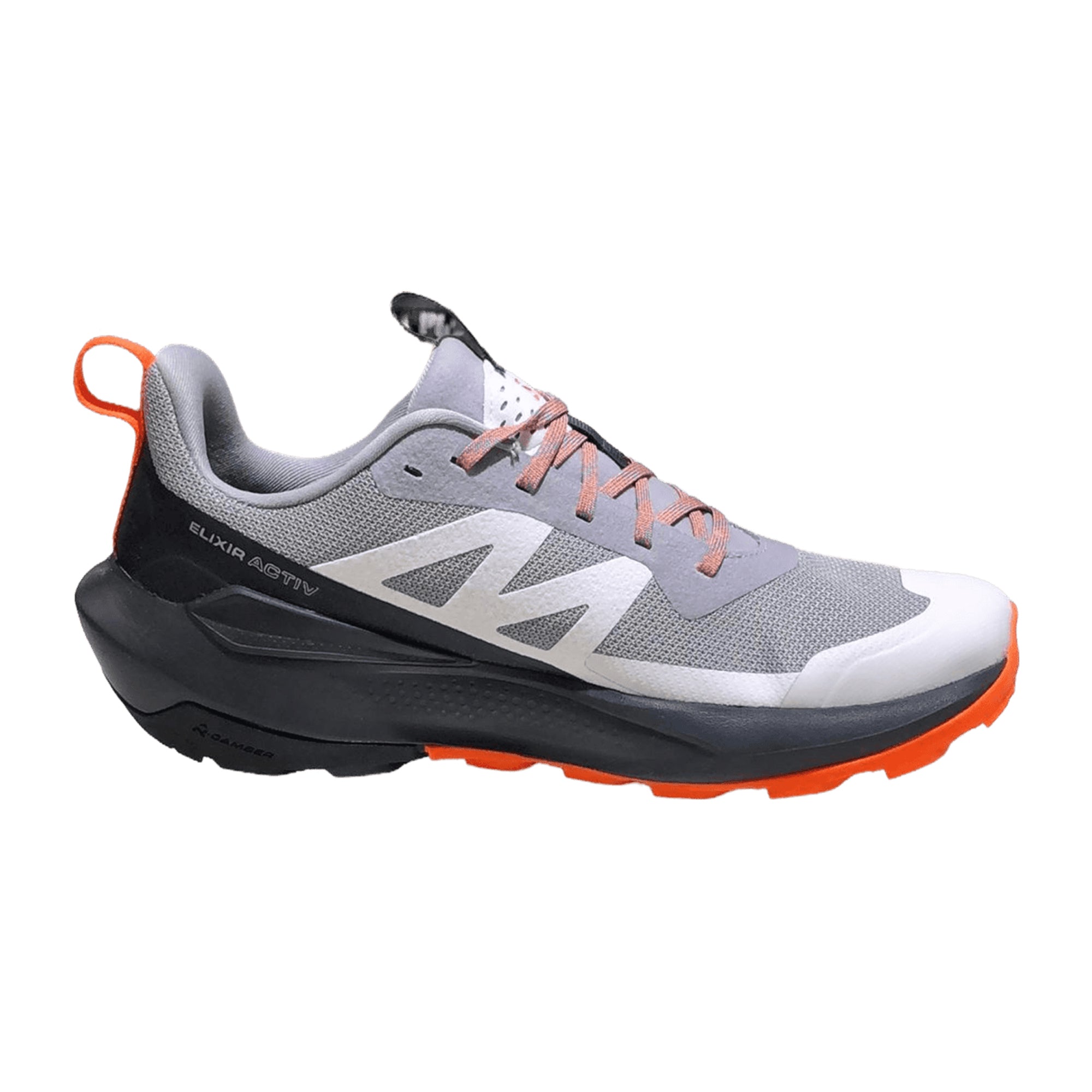 Salomon Elixir Activ GTX for men, gray, shoes