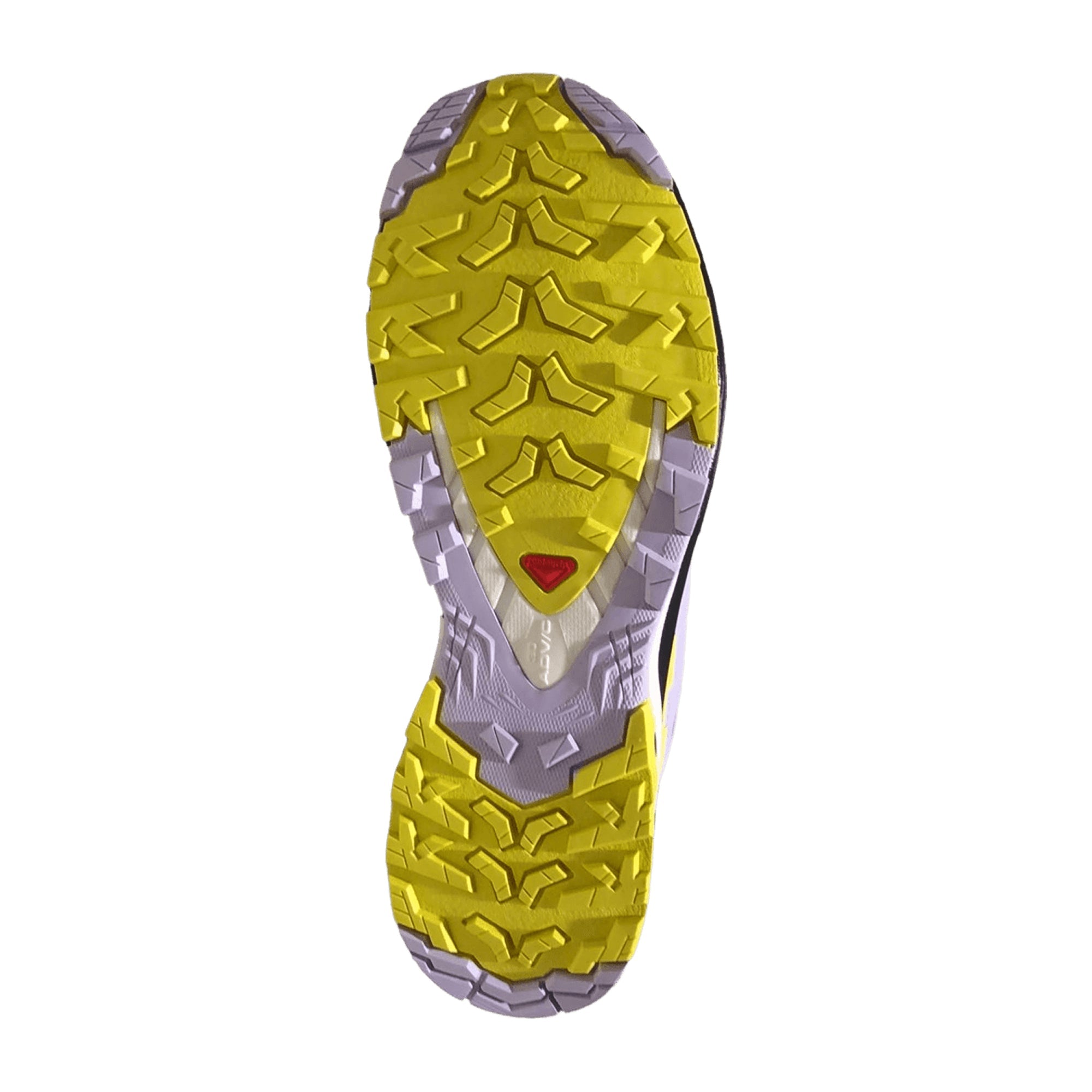 Salomon XA Pro 3D V9 GTX W for women, colorful, shoes