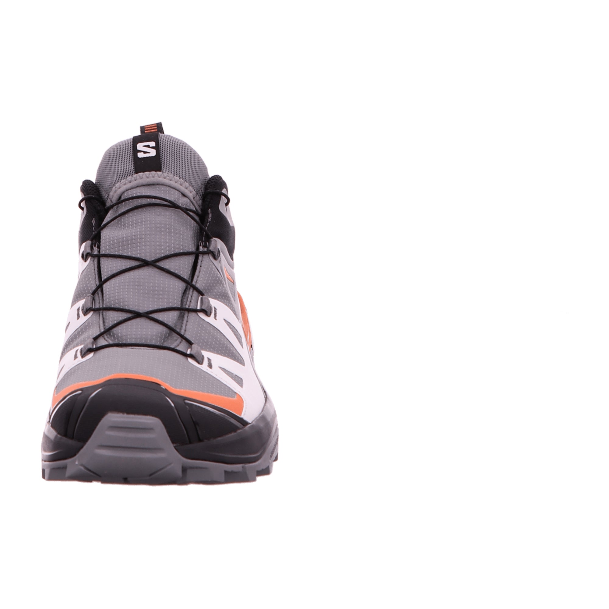 Salomon X ULTRA 360 GTX for men, gray, shoes