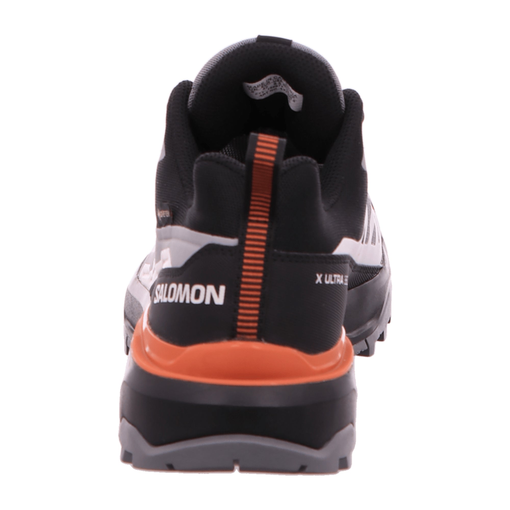 Salomon X ULTRA 360 GTX for men, gray, shoes