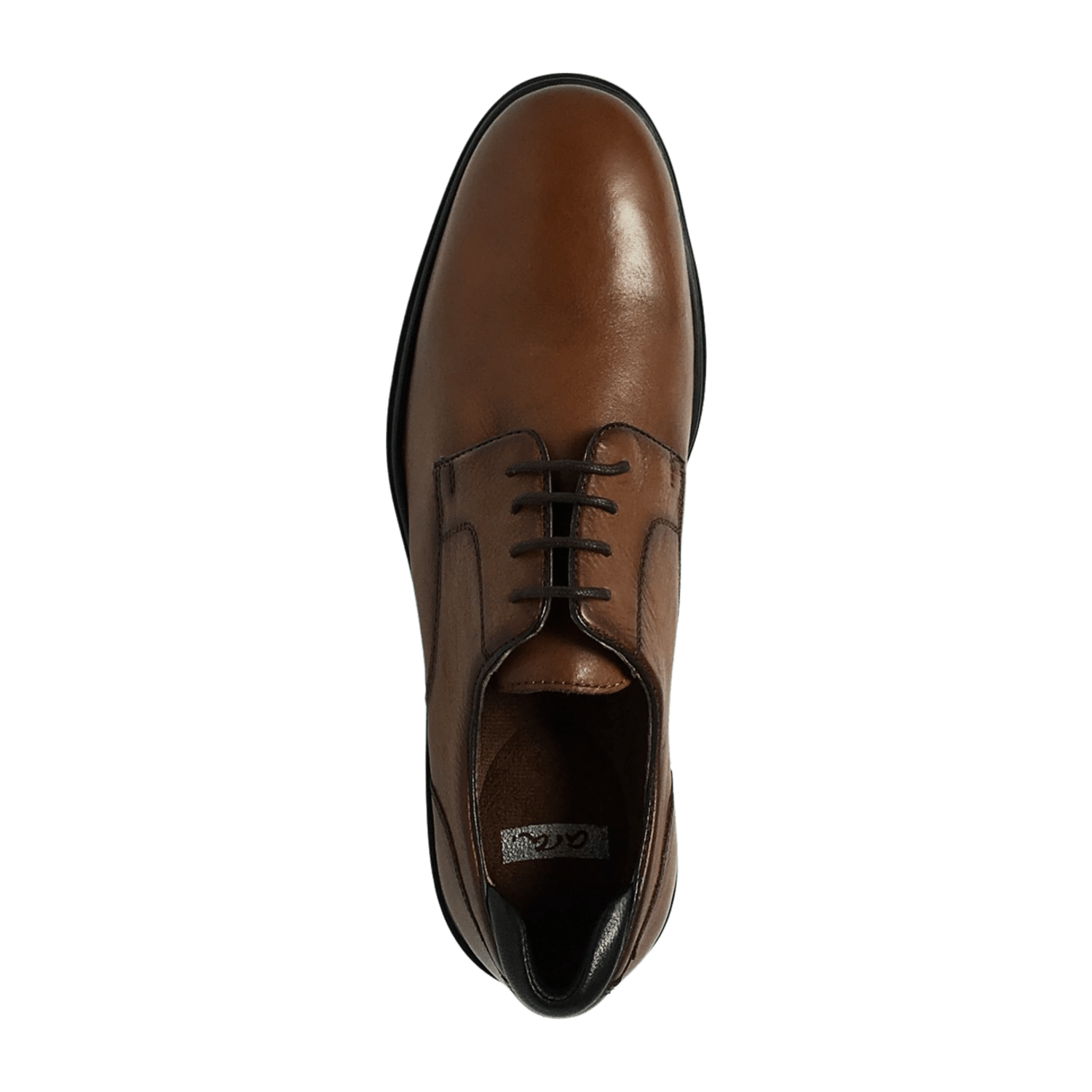 ARA Henry Brown Derby Lace-Up Shoes for Men