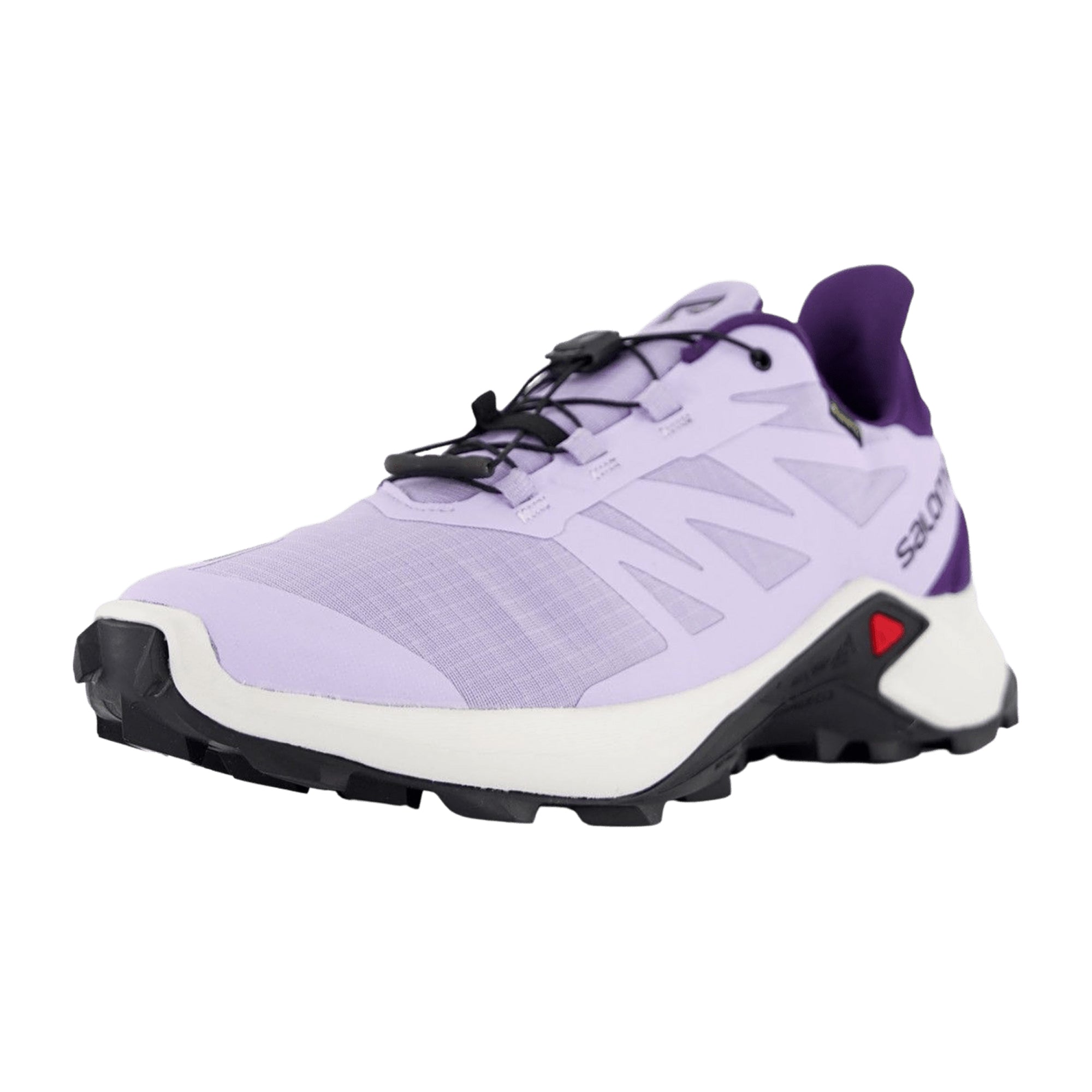 Salomon shoes SUPERCROSS 3 GTX W Lavender/ for women, purple