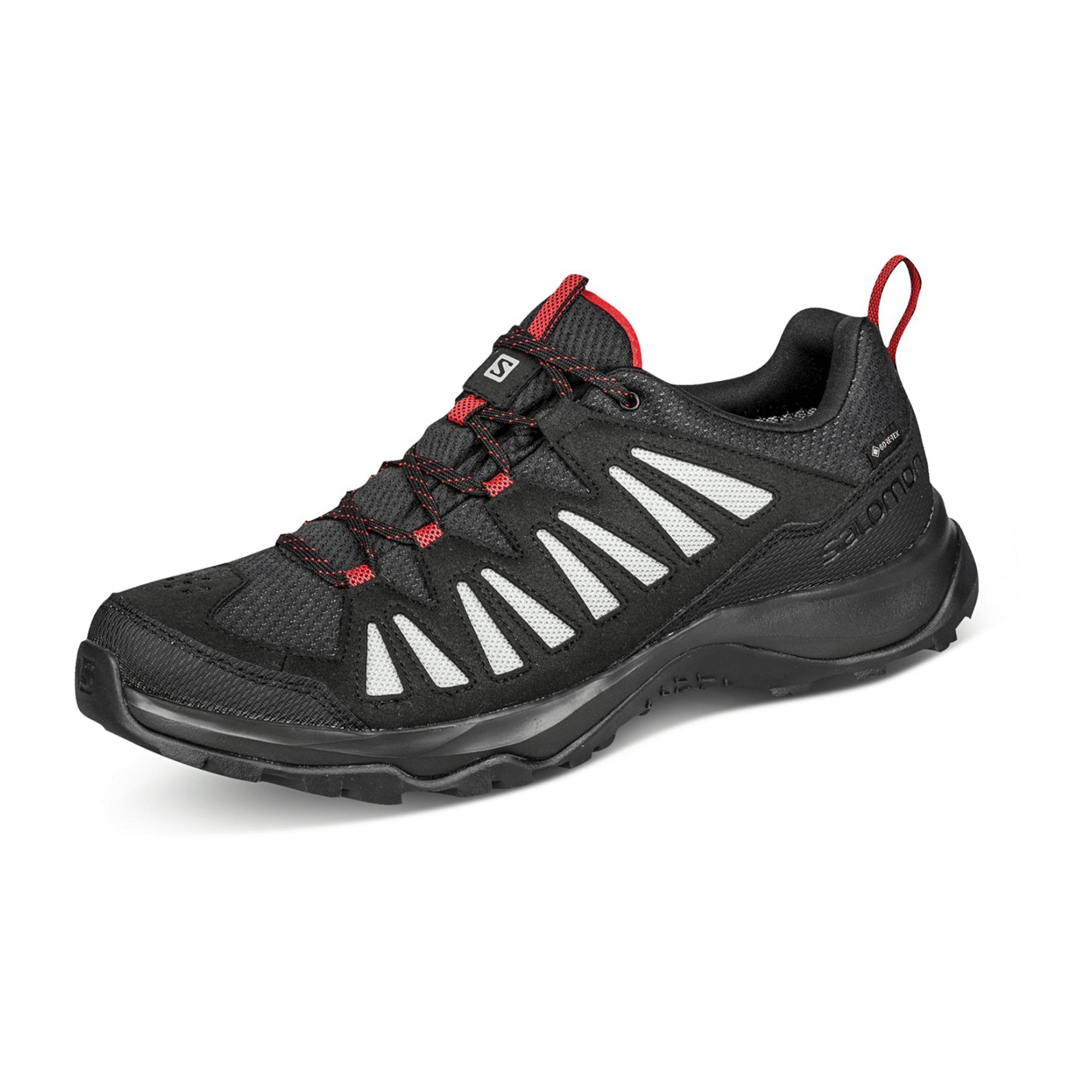 Salomon shoes EOS GTX Black/Black/Wro for men, black