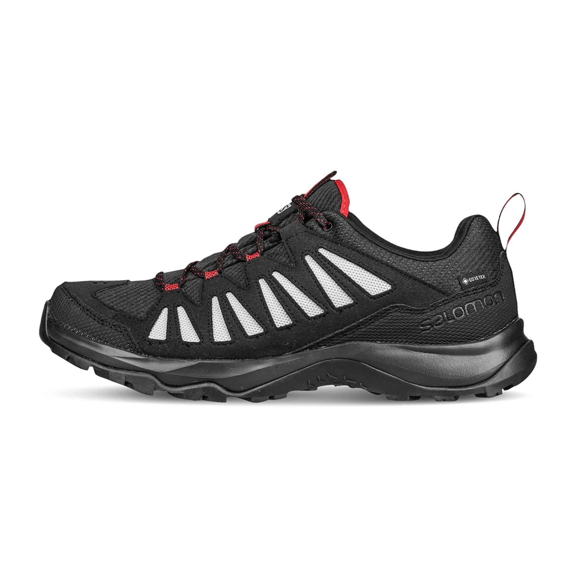 Salomon shoes EOS GTX Black/Black/Wro for men, black