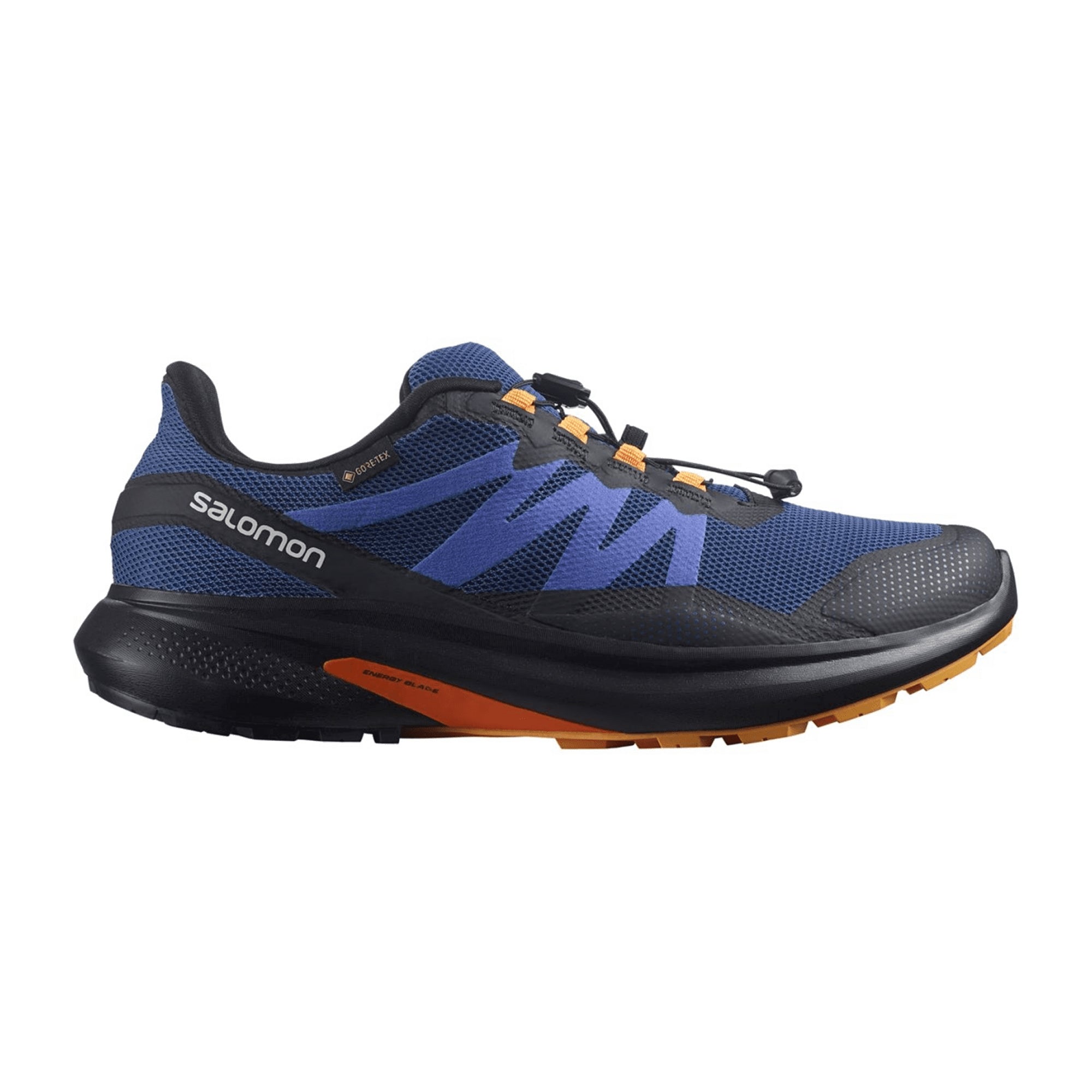 Salomon shoes HYPULSE GTX Black (pantone T for men, blue