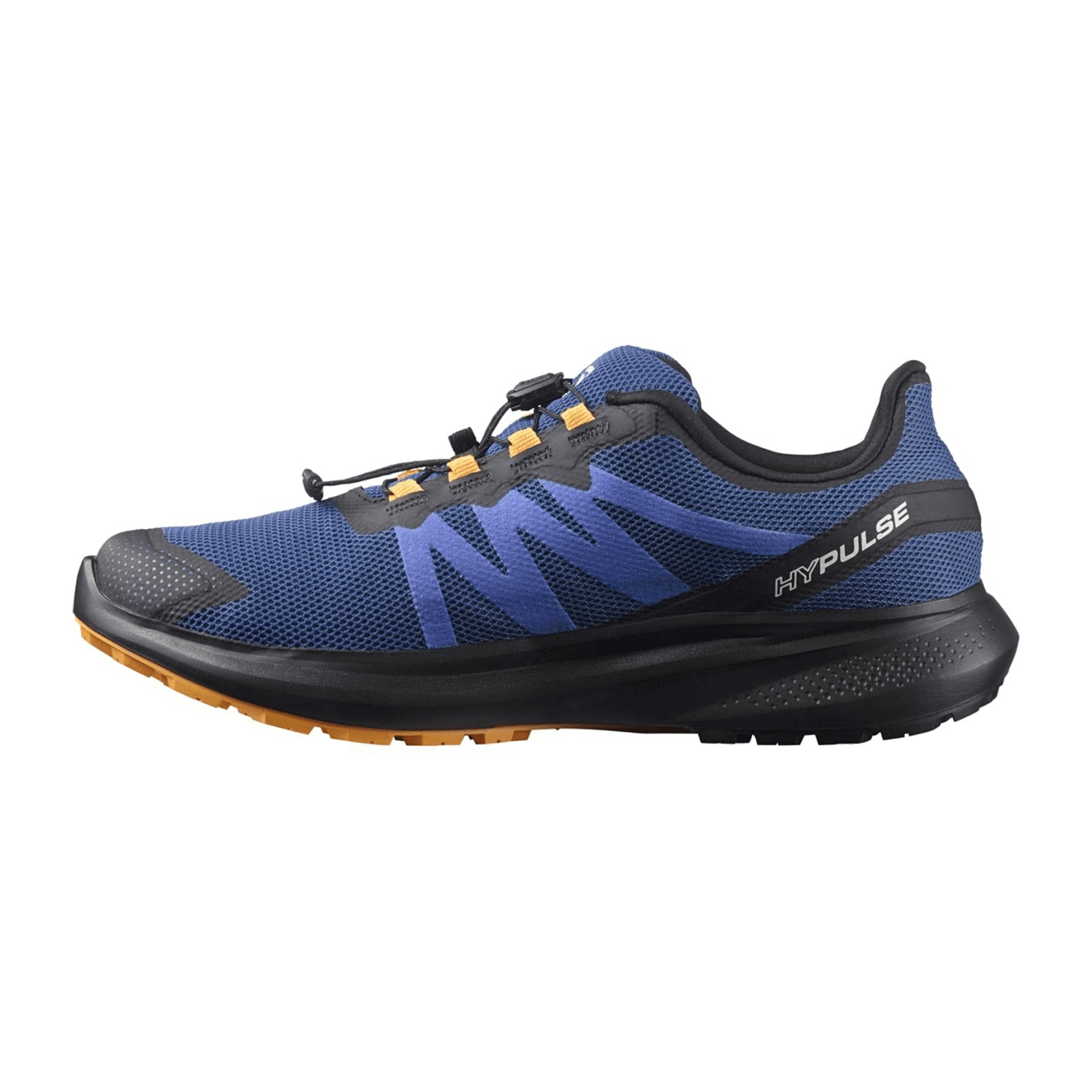 Salomon shoes HYPULSE GTX Black (pantone T for men, blue