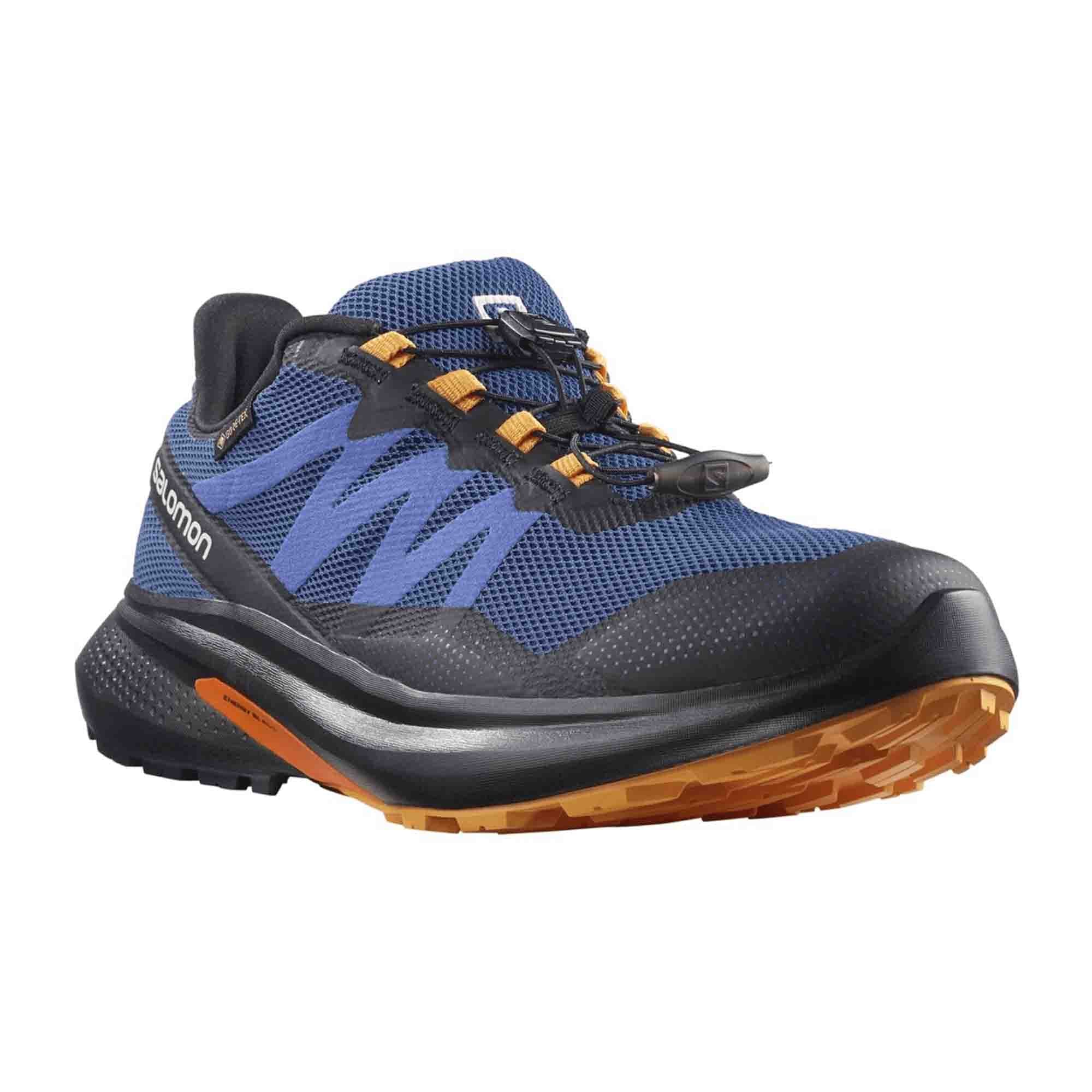 Salomon shoes HYPULSE GTX Black (pantone T for men, blue