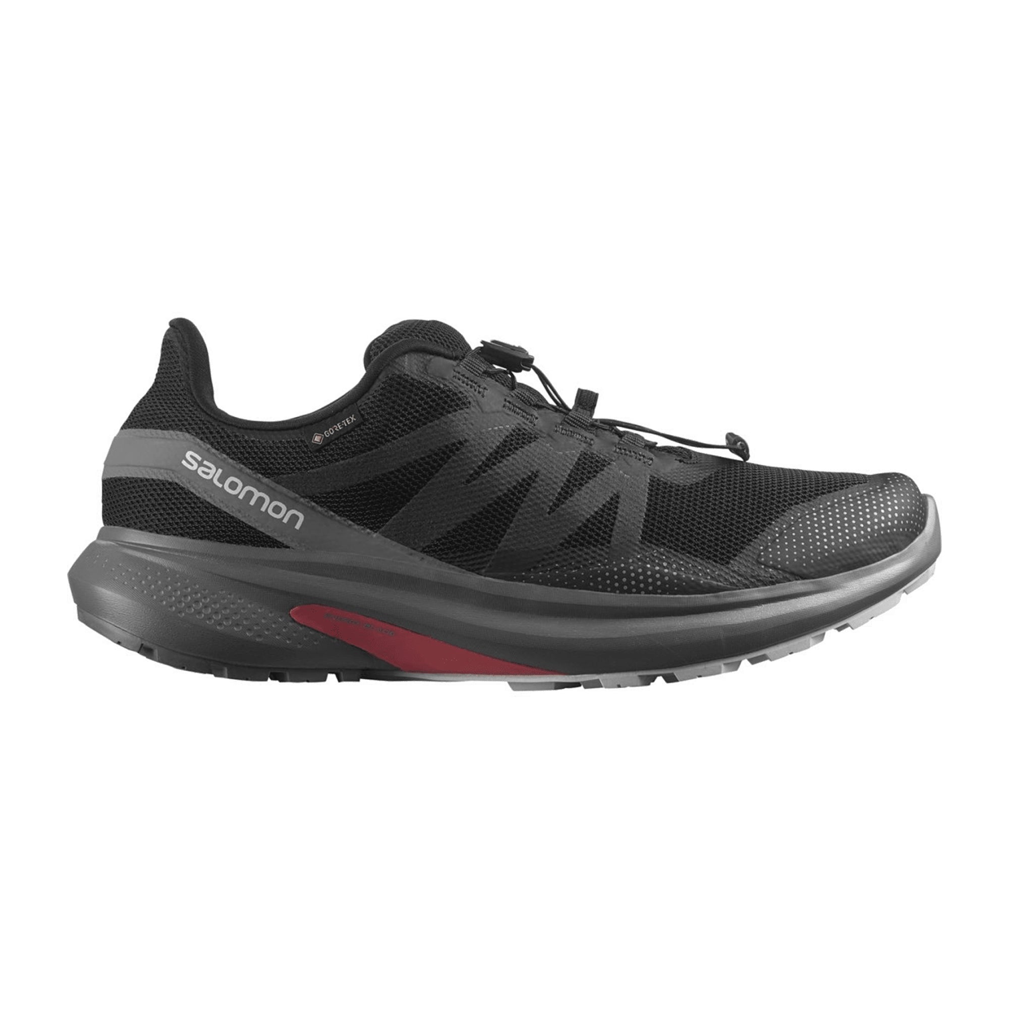 Salomon shoes HYPULSE GTX Black (pantone T for men, black