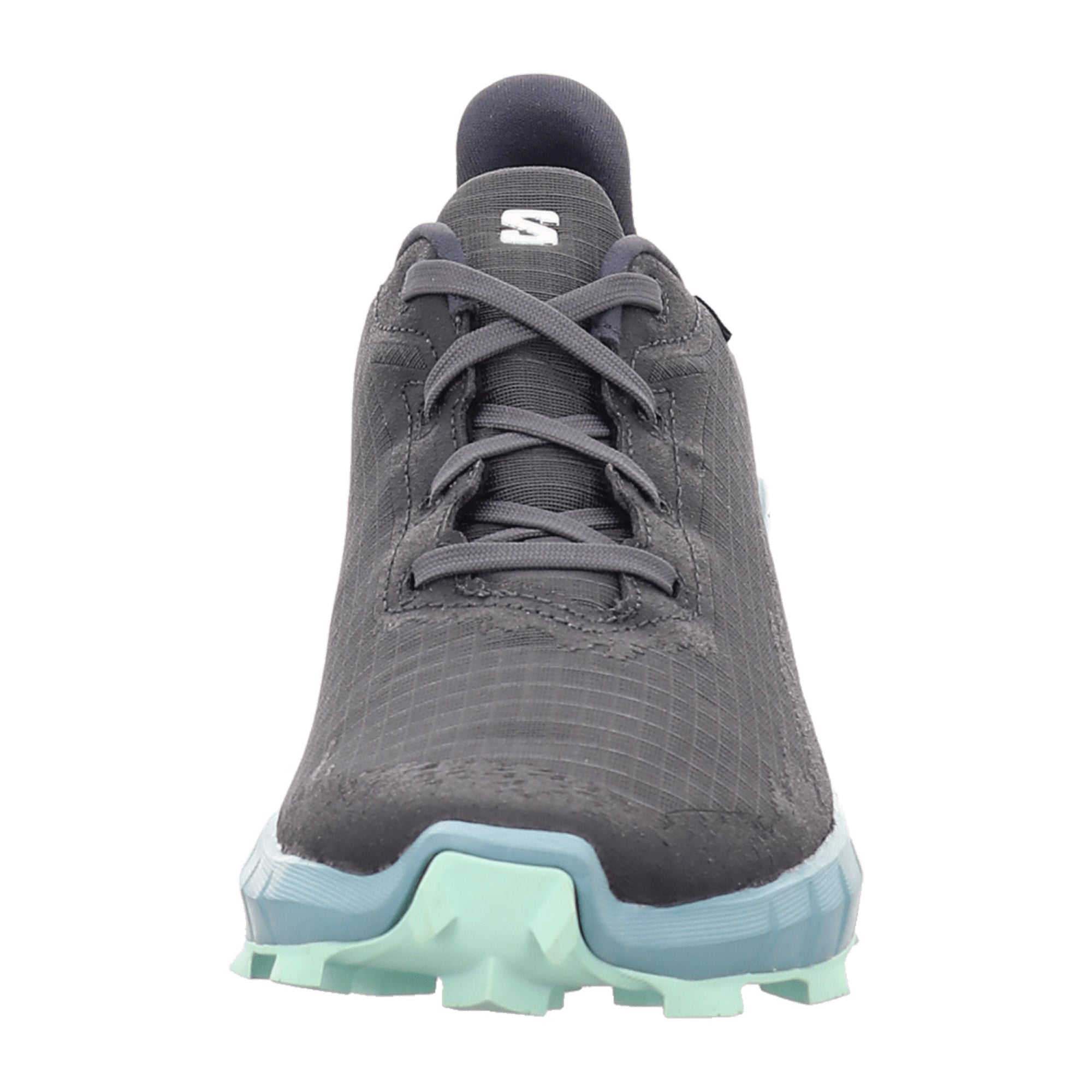 Salomon 4 GTX for women, gray, shoes