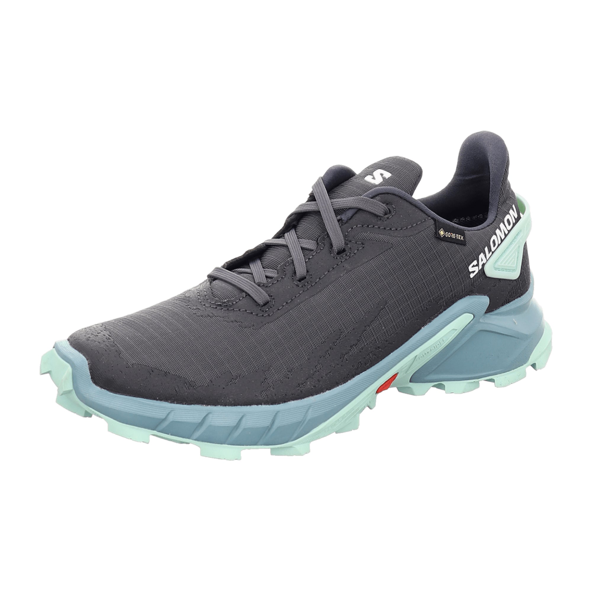 Salomon 4 GTX for women, gray, shoes