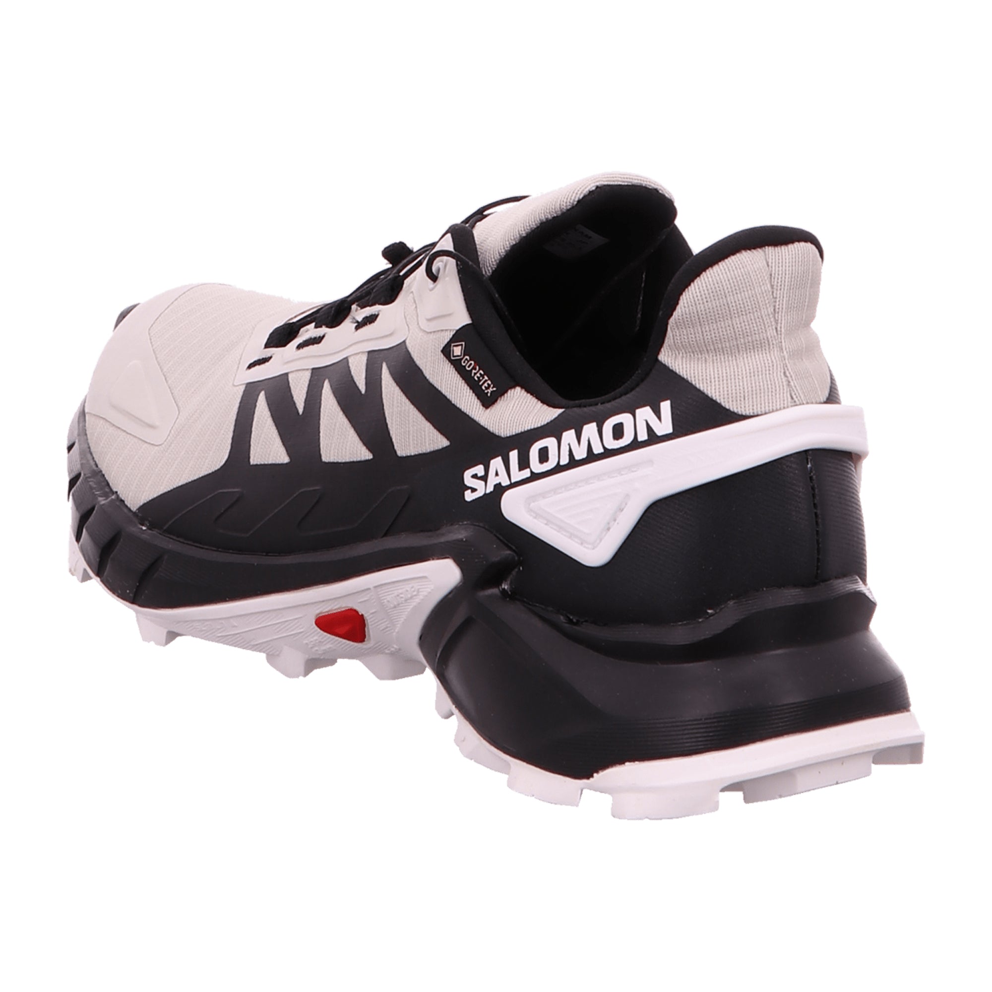 Salomon Sport for men, gray, shoes