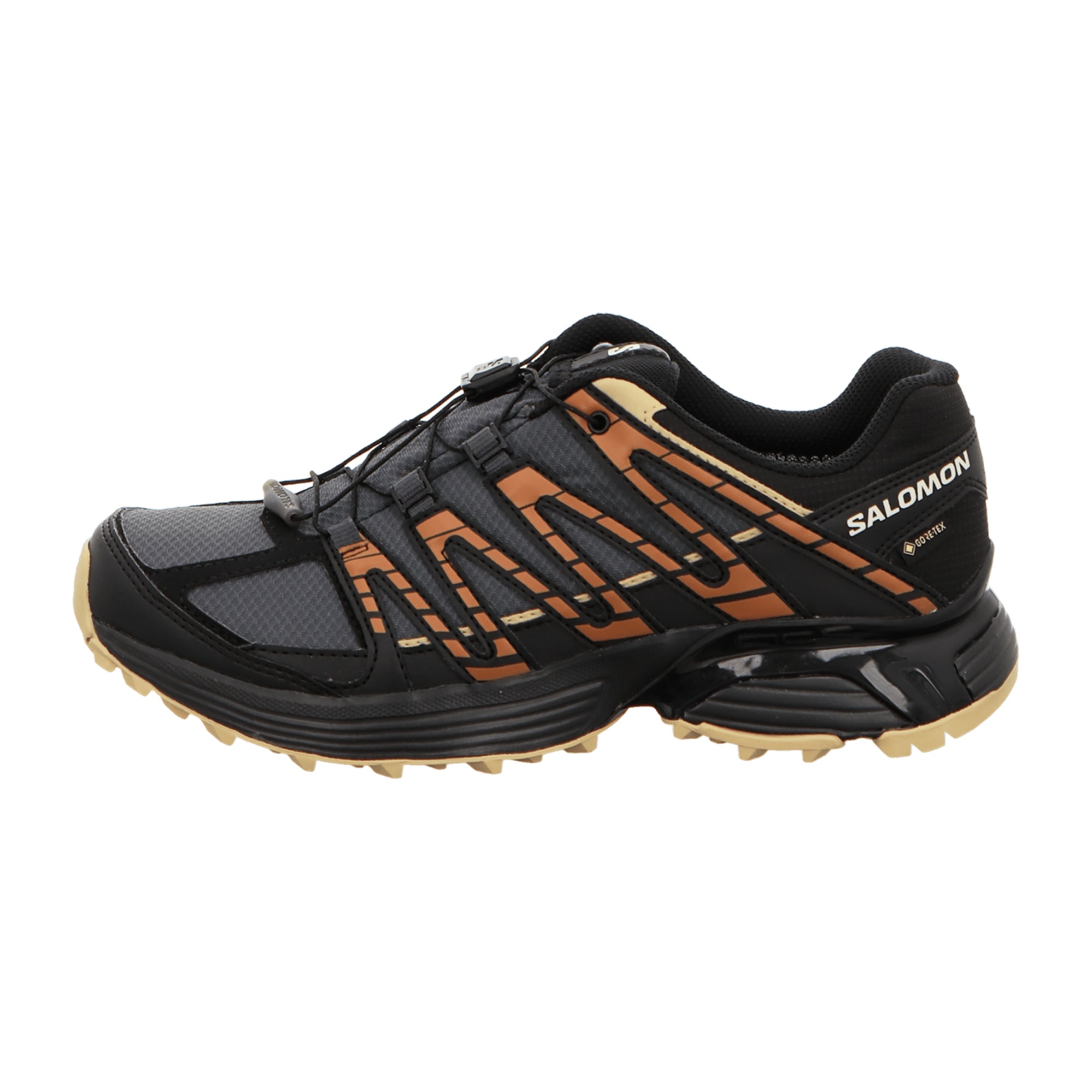 Salomon XT RECKON GTX for men, gray, shoes