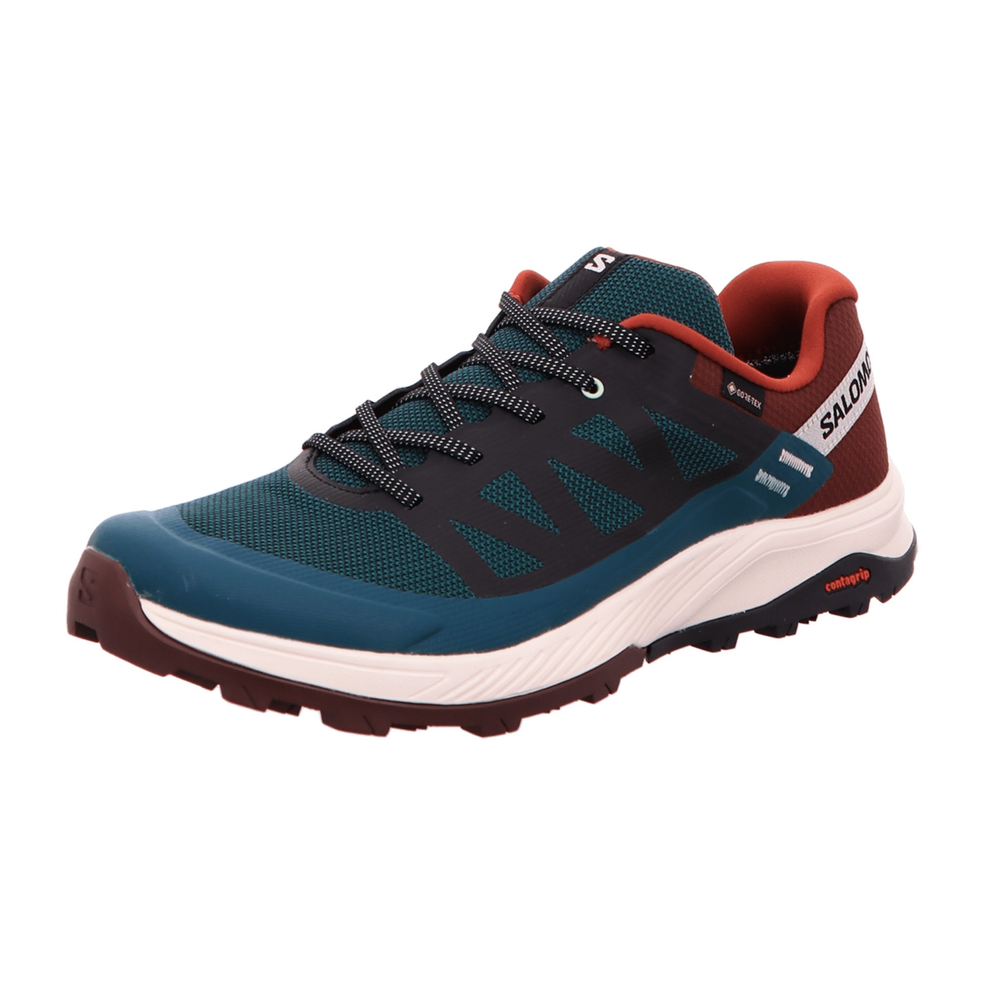 Salomon OUTRISE GTX for men, blue, shoes