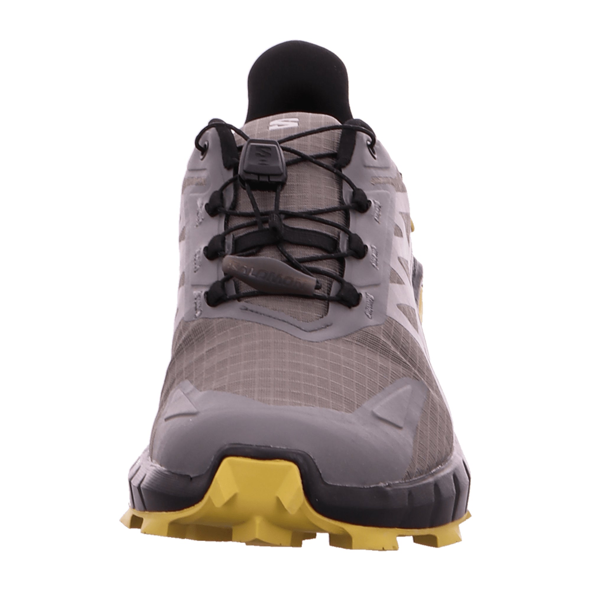 Salomon Supercross 4 GTX for men, gray, shoes