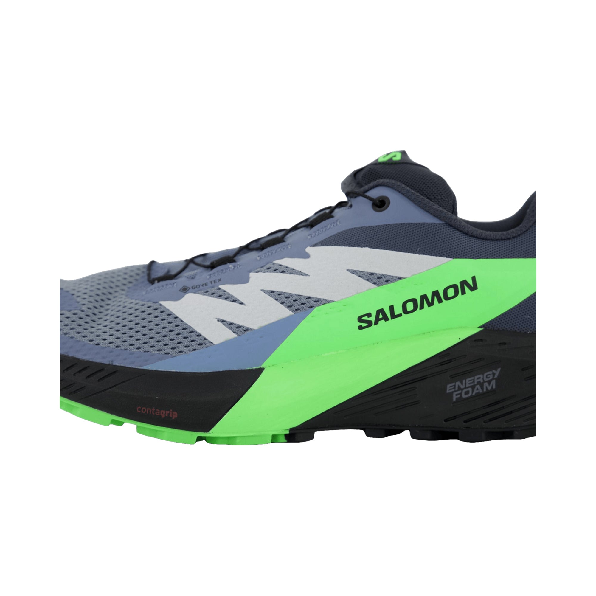Salomon SENSE RIDE 5 GTX for men, gray, shoes
