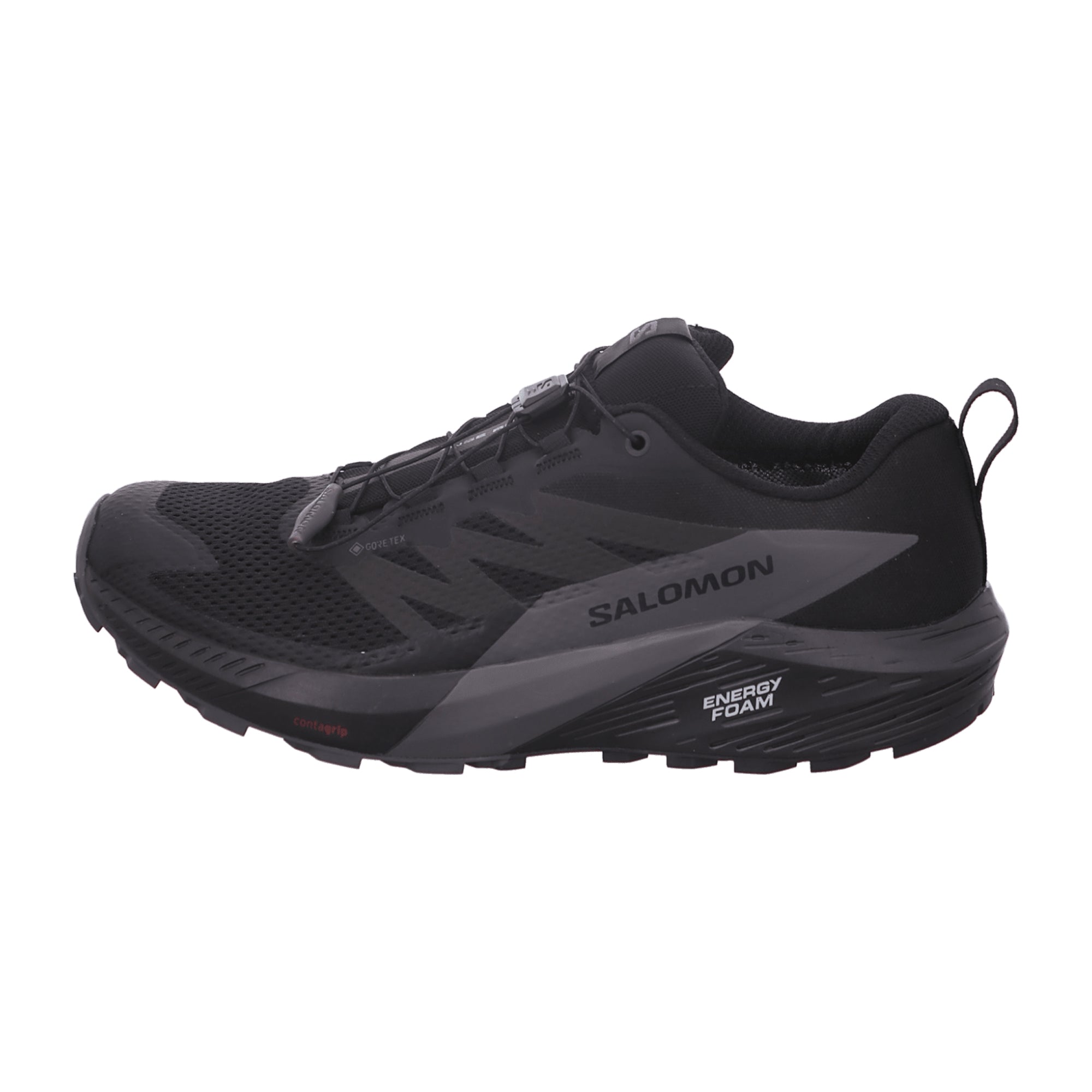 Salomon Sense Ride 5 GTX W for women, black, shoes
