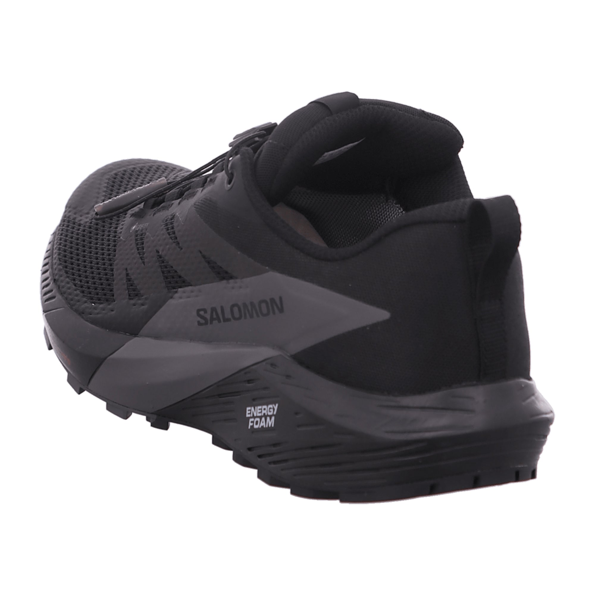 Salomon Sense Ride 5 GTX W for women, black, shoes
