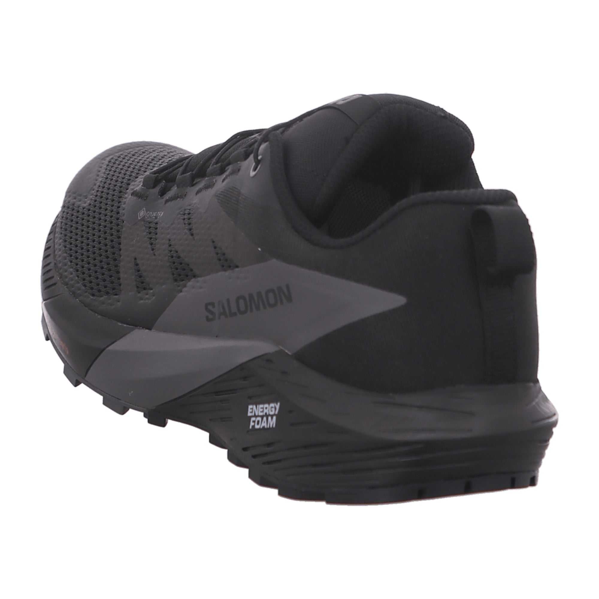 Salomon Sense Ride 5 GTX for men, black, shoes